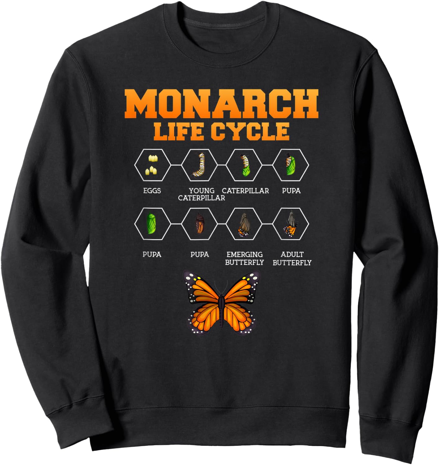 Monarch Butterfly Life Cycle Butterflies Nature Lover Sweatshirt - Sweatshirt | Black