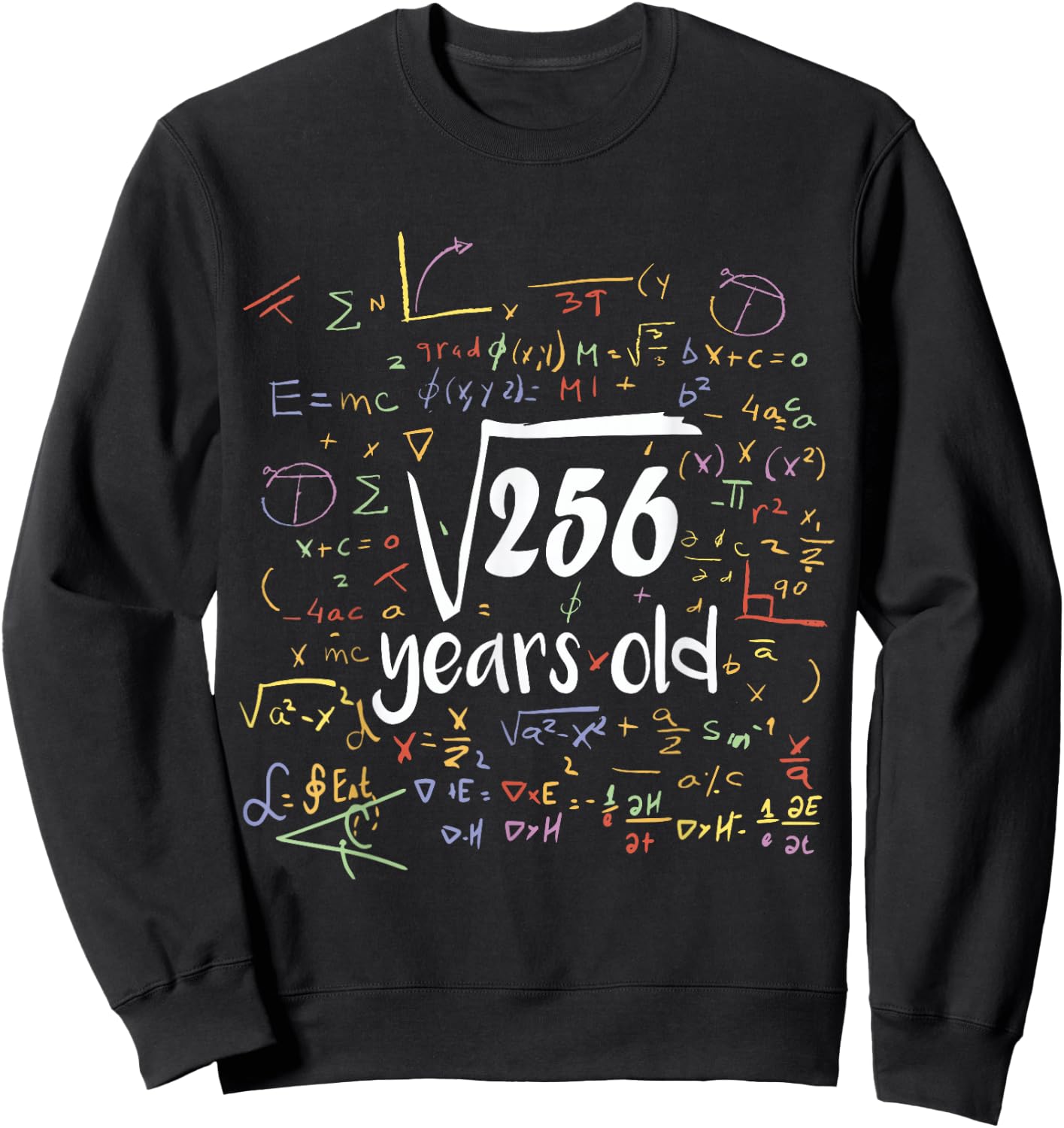 Square Root Of 256 - 16th Birthday 16 Year Old Math Bday Sweatshirt - Sweatshirt | Black