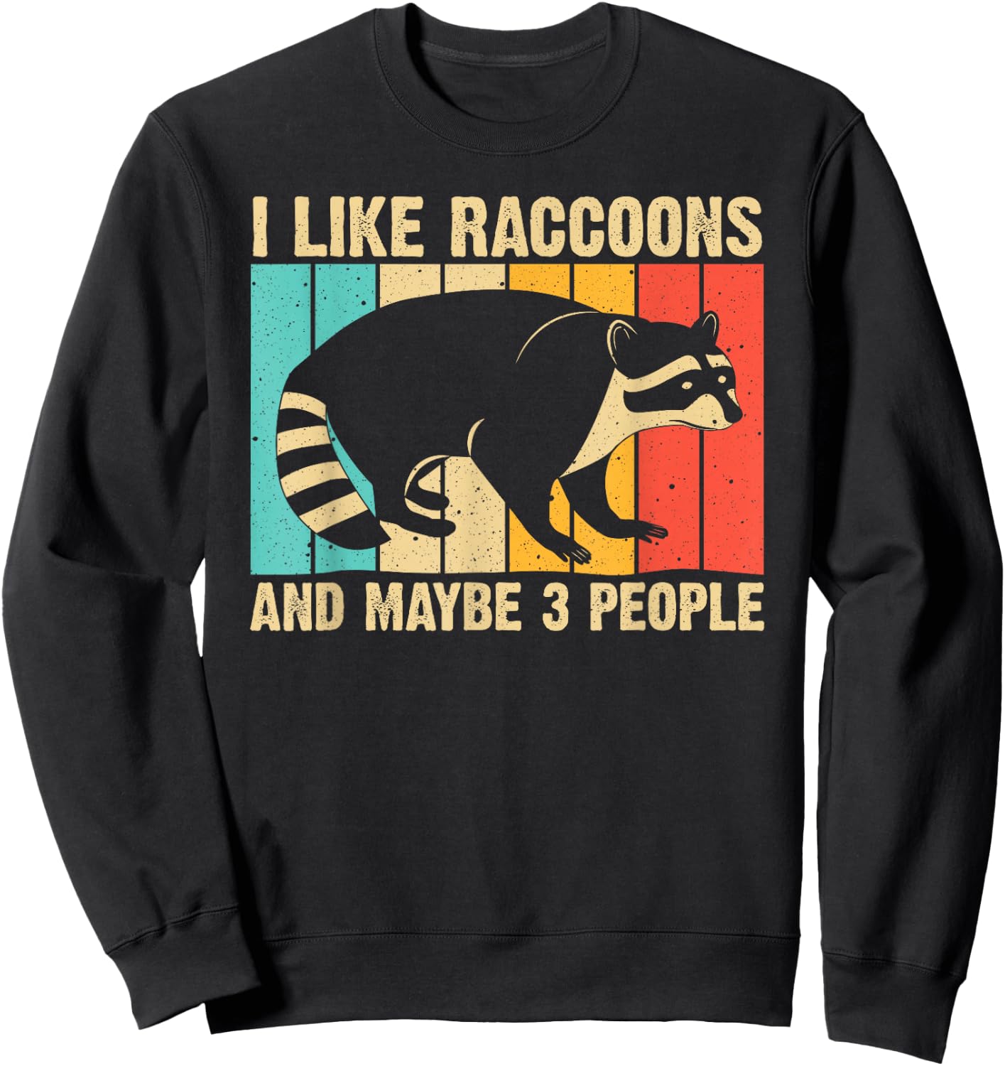 Funny Raccoon Design Women Raccoon Lover Introvert Small Sweatshirt - Sweatshirt | Black