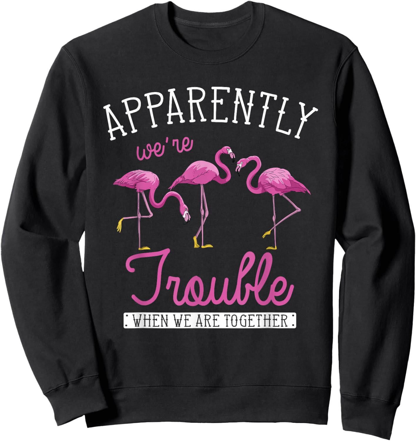 Apparently Were Trouble When We Are Together Funny Flamingo Sweatshirt - Sweatshirt | Black