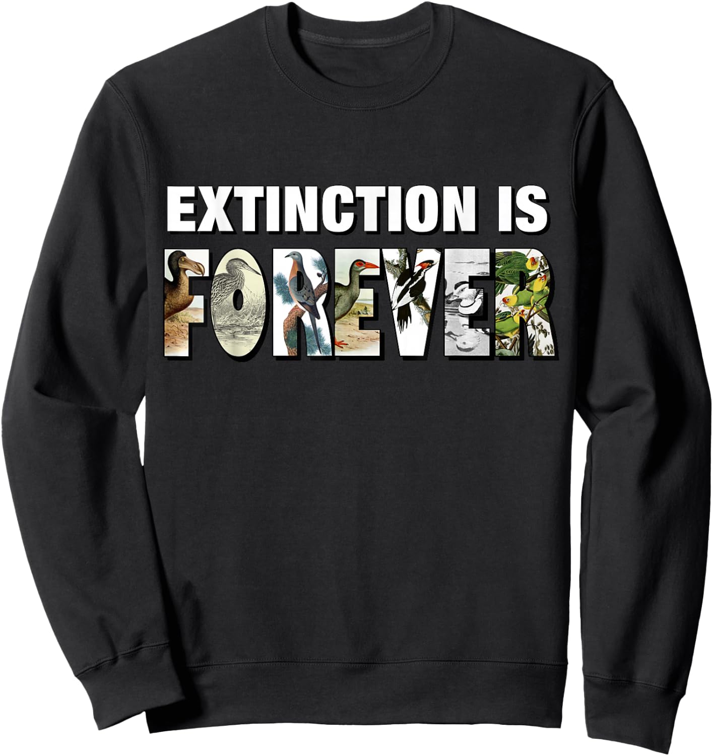 Extinction is Forever Graphic Extinct Birds Conservation Sweatshirt - Sweatshirt | Black