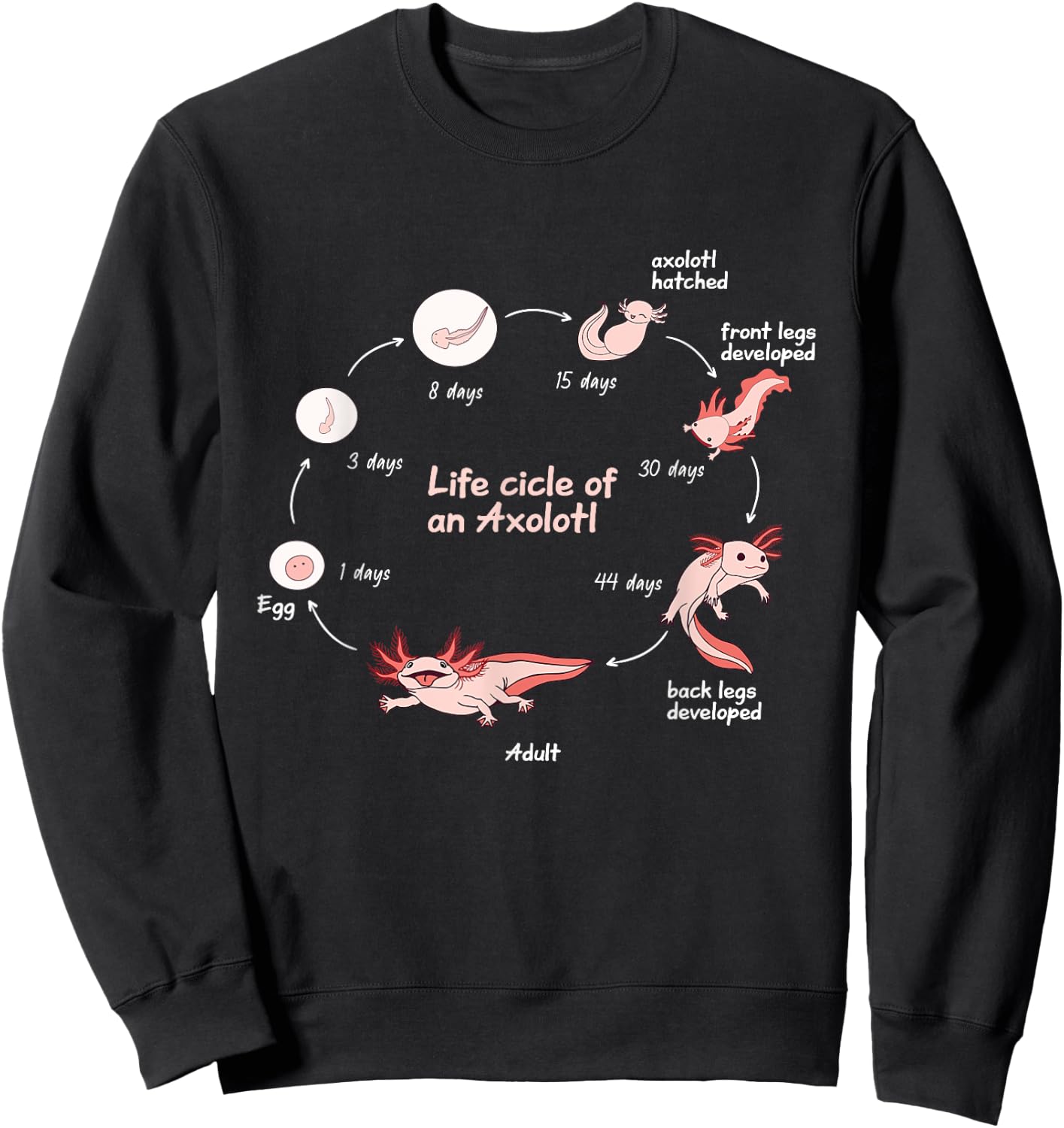 Axolotl Lifecycle Chart Cute Kawaii Salamander Amphibian Sweatshirt - Sweatshirt | Black