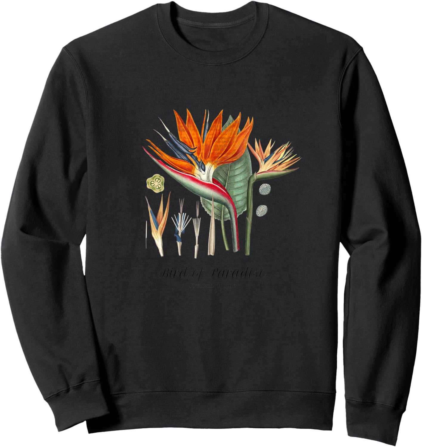 Bird of Paradise Botanical, Tropical Plants Sweatshirt - Sweatshirt | Black