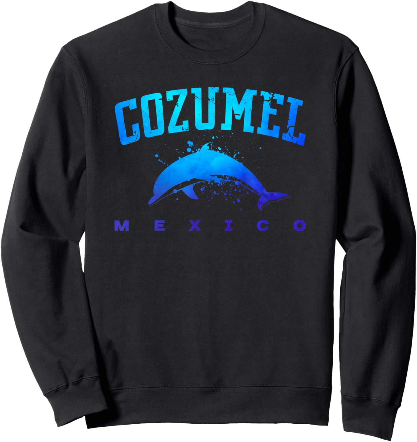 COZUMEL MEXICO Beach Vacation Scuba Diving Dolphin Graphic Women Kids Sweatshirt - Sweatshirt | Black