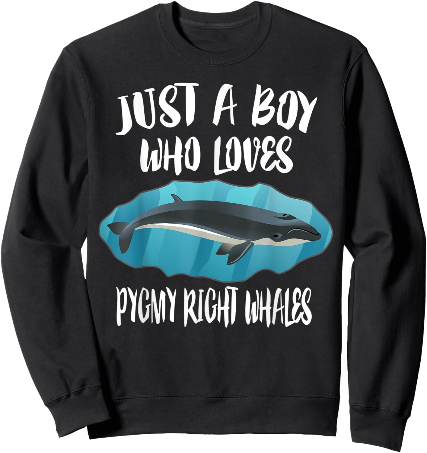 Just A Boy Who Loves Pygmy Right Whales Sweatshirt - Sweatshirt | Black