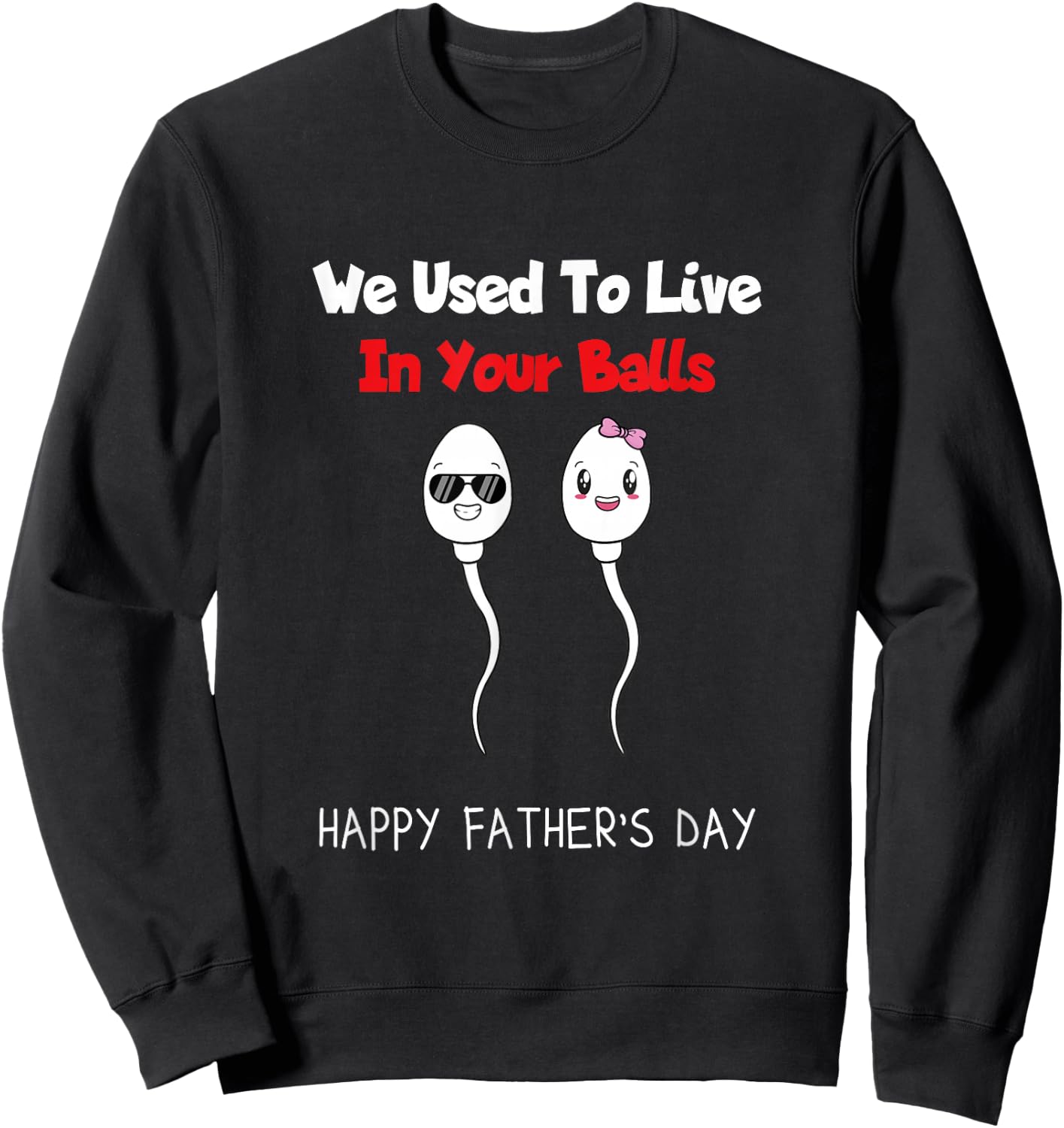 Funny Boy And Girl Fathers Day We Used To Live In Your Balls Sweatshirt - Sweatshirt | Black