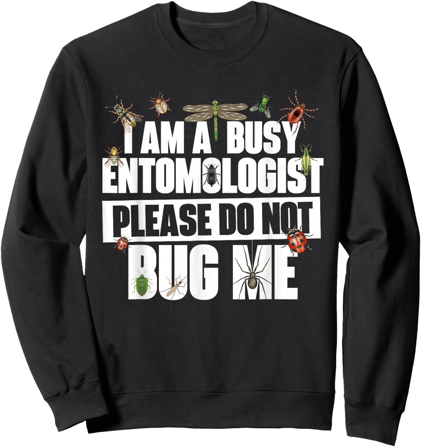 Busy Entomologist Please Do Not Bug Me - Entomology Insect Sweatshirt - Sweatshirt | Black