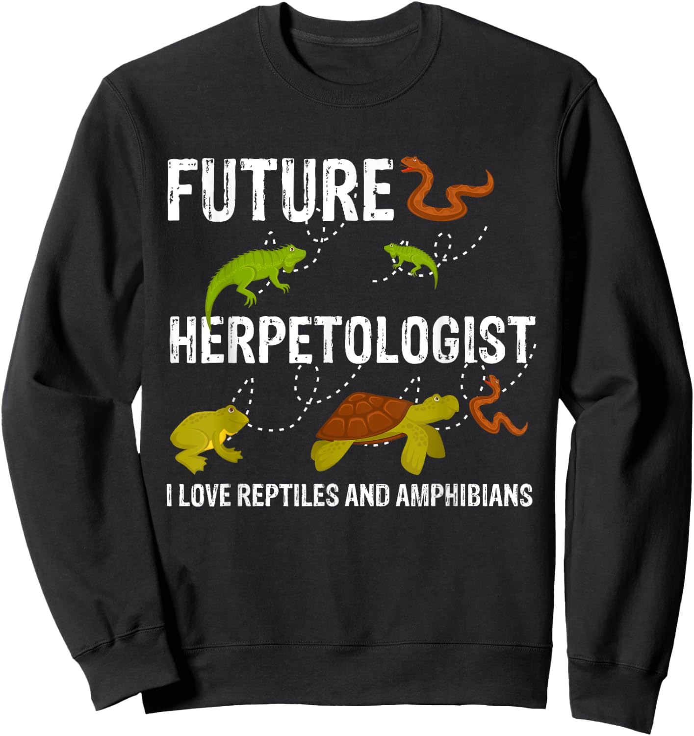 Kiting Surfing Boarder Apparel & Gift Collection Future Herpetologist Reptiles & Amphibians Biology Insects Adult Black Small Modern Animal Pattern Short Sleeve Sweatshirt - Sweatshirt | Black