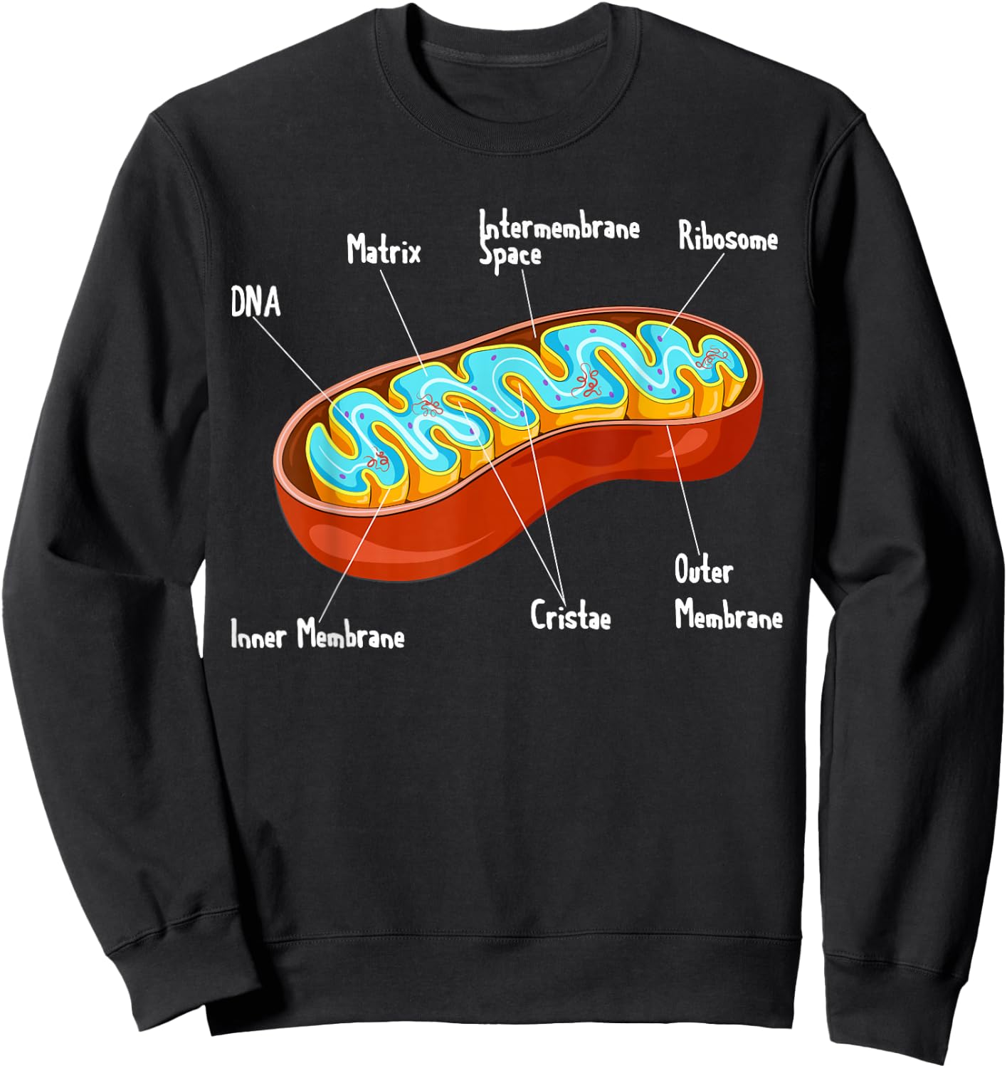 Mitochondria Cell Biology Biologist Science Teacher Student Sweatshirt - Sweatshirt | Black