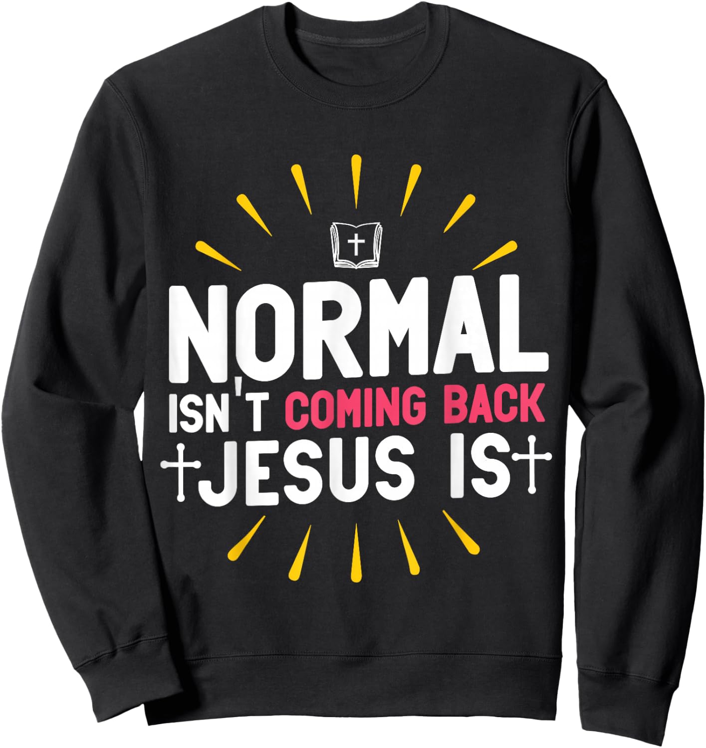 Normal Isn't Coming Back Jesus Is Christian Believer Sweatshirt - Sweatshirt | Black