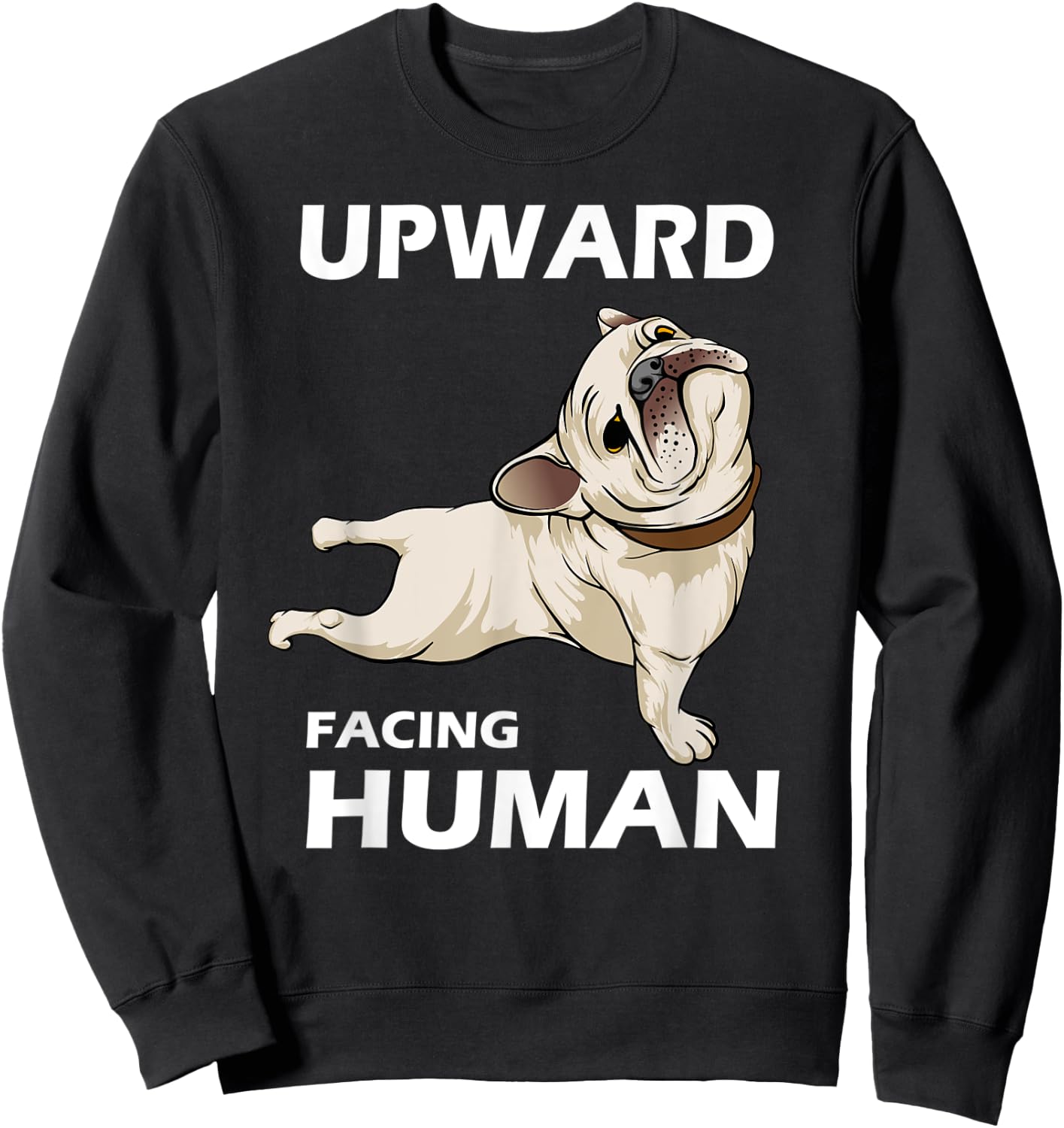 Upward Facing Human - Funny Pug Yoga Aesthetics Sweatshirt - Sweatshirt | Black