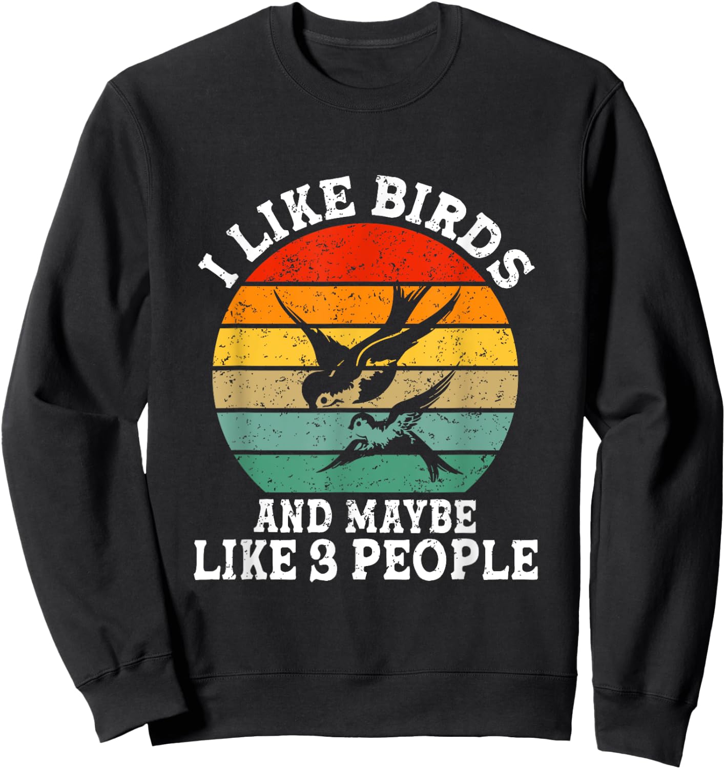 I Like Birds And Maybe 3 People Funny Retro Sweatshirt - Sweatshirt | Black