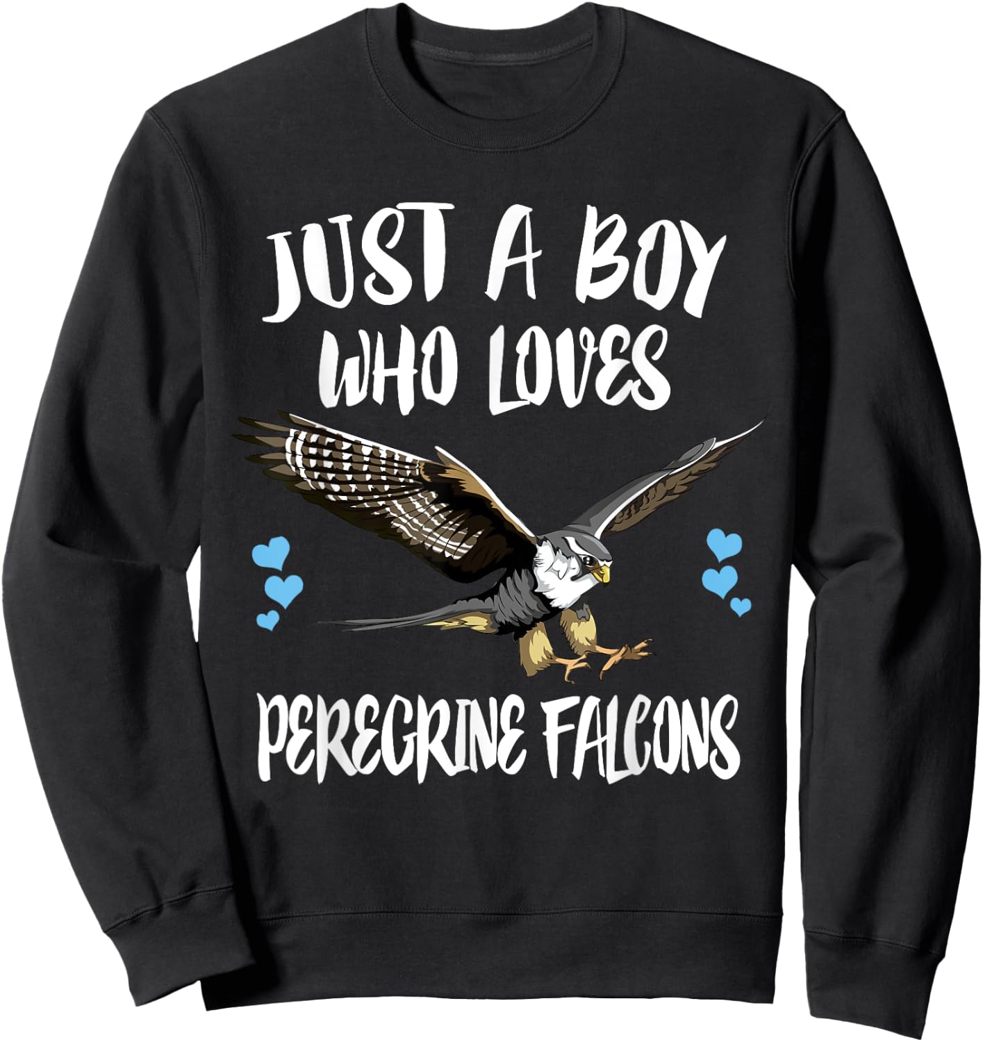Just A Boy Who Loves Peregrine Falcons Birds Sweatshirt - Sweatshirt | Black