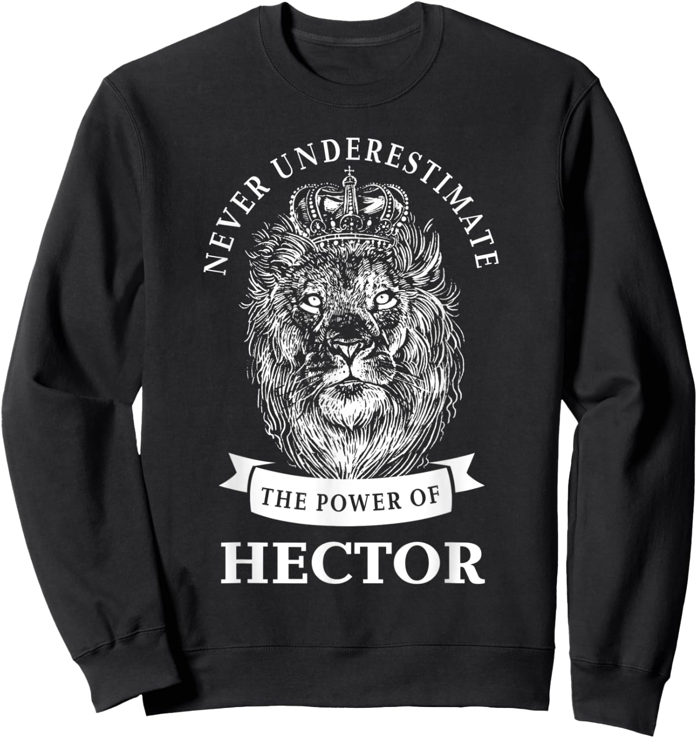 Hector Gift Name Lion Sweatshirt - Sweatshirt | Black