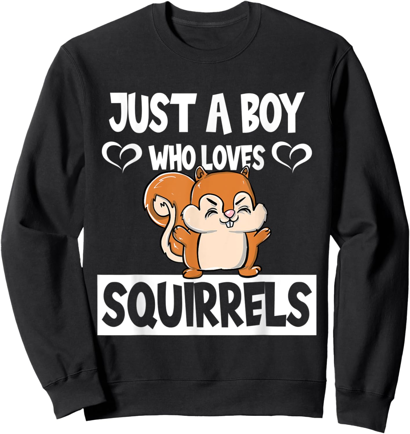 Just A Boy Who Loves Squirrels Animal Lover Enthusiast Gift Sweatshirt - Sweatshirt | Black