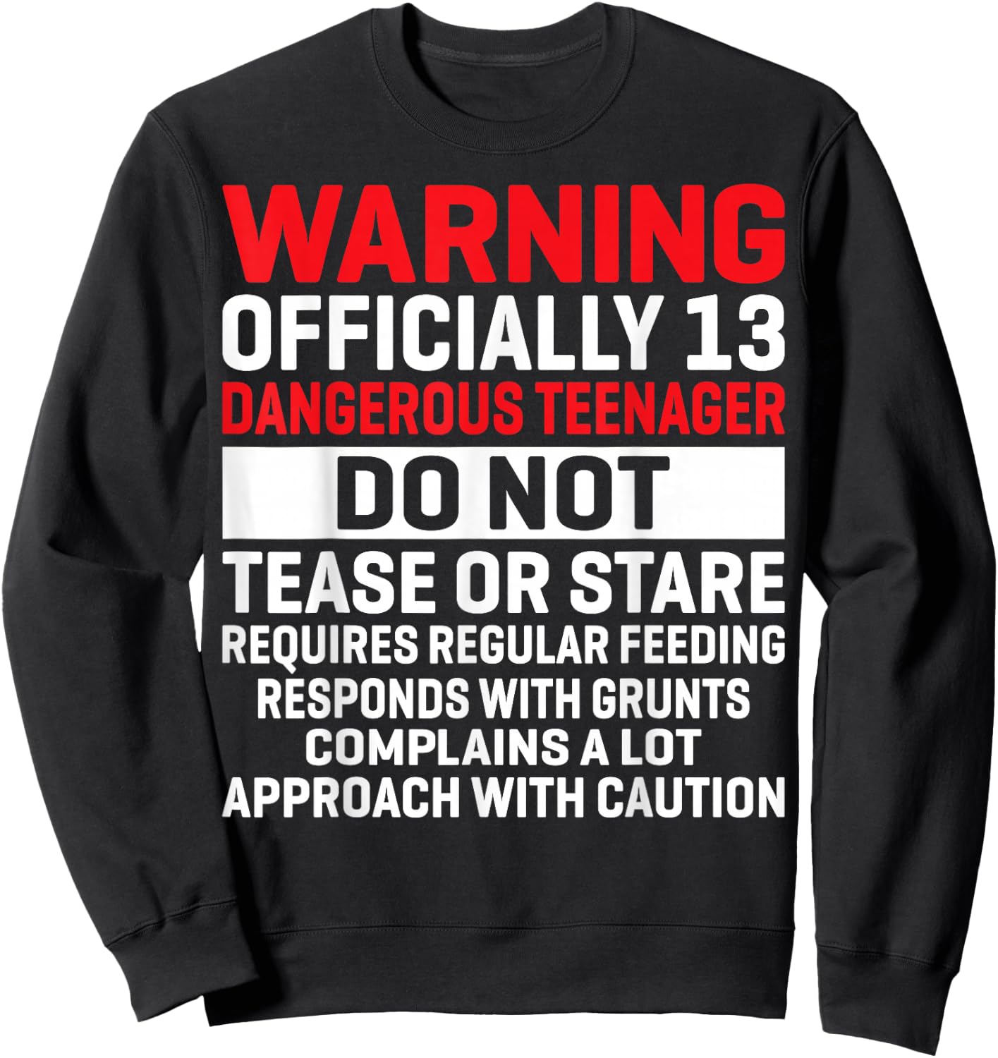 Warning Officially 13 Dangerous Teenagers 13th Birthday Sweatshirt - Sweatshirt | Black