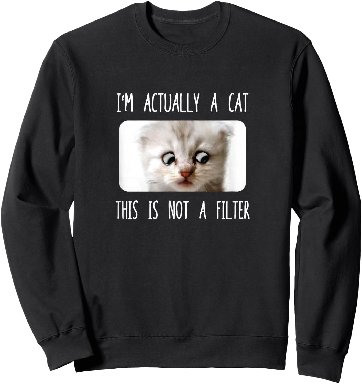 I'm Not A Cat, Sarcastic Funny Cat Filter Meme Zoom Call Men Women Girls Kids Sweatshirt - Sweatshirt | Black