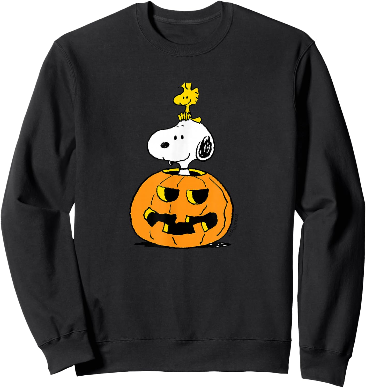 Peanuts - Halloween - Snoopy Woodstock Pumpkin Sweatshirt - Sweatshirt | Black
