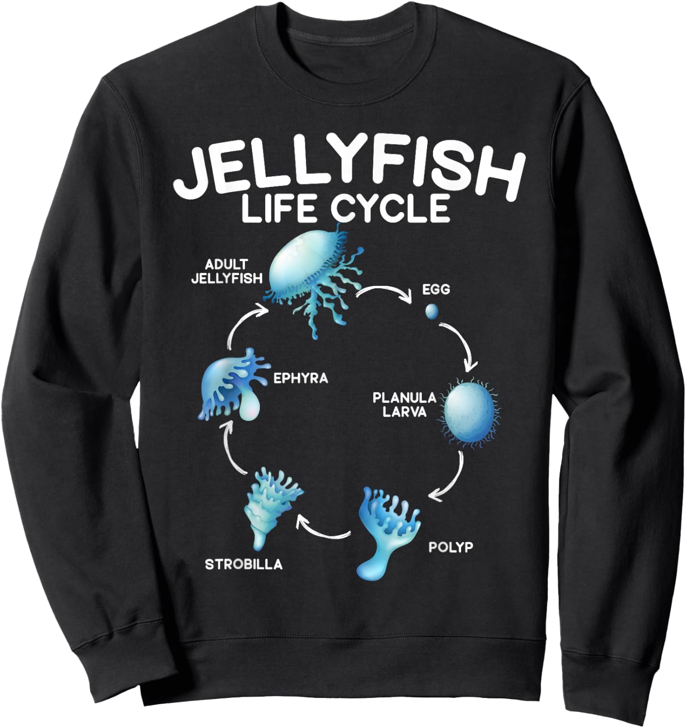 Jellyfish Life Cycle Animal Lover Jellyfish Season Sweatshirt - Sweatshirt | Black
