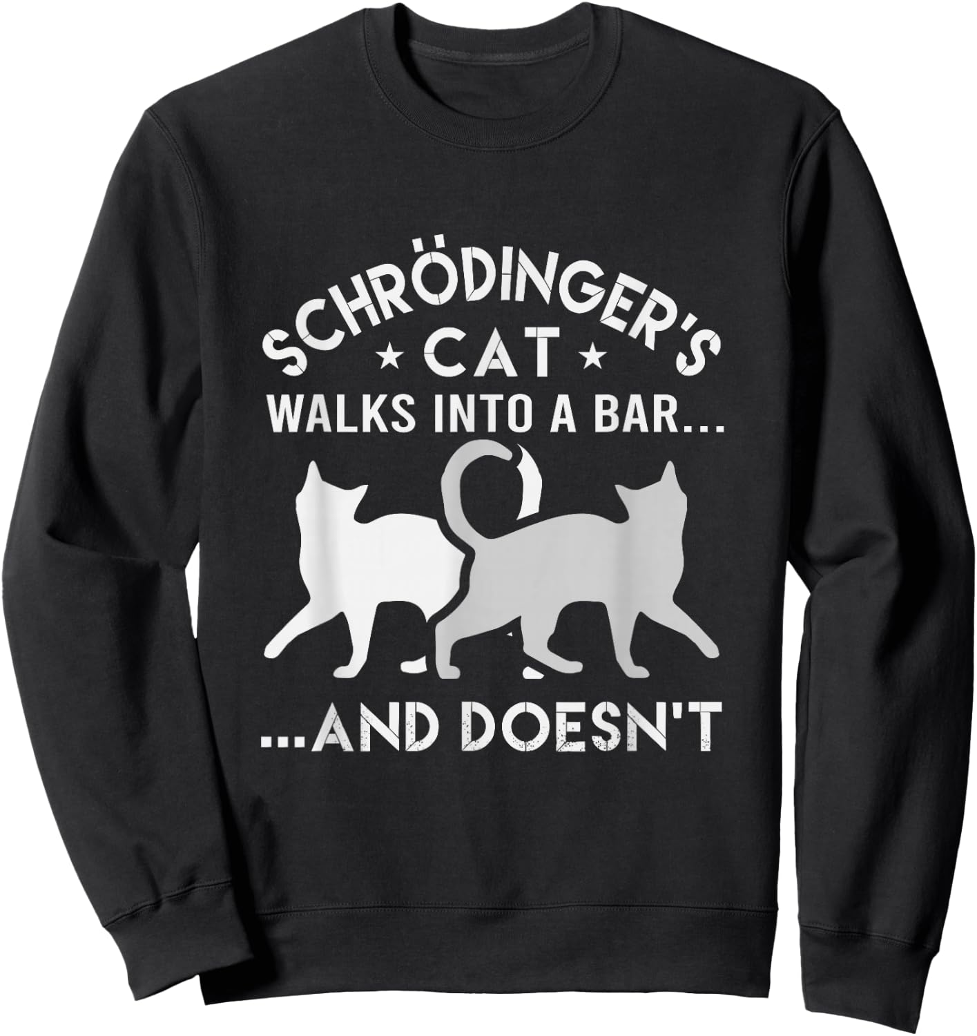 Schrodingers Cat Walks Into A Bar Physics Sweatshirt - Sweatshirt | Black