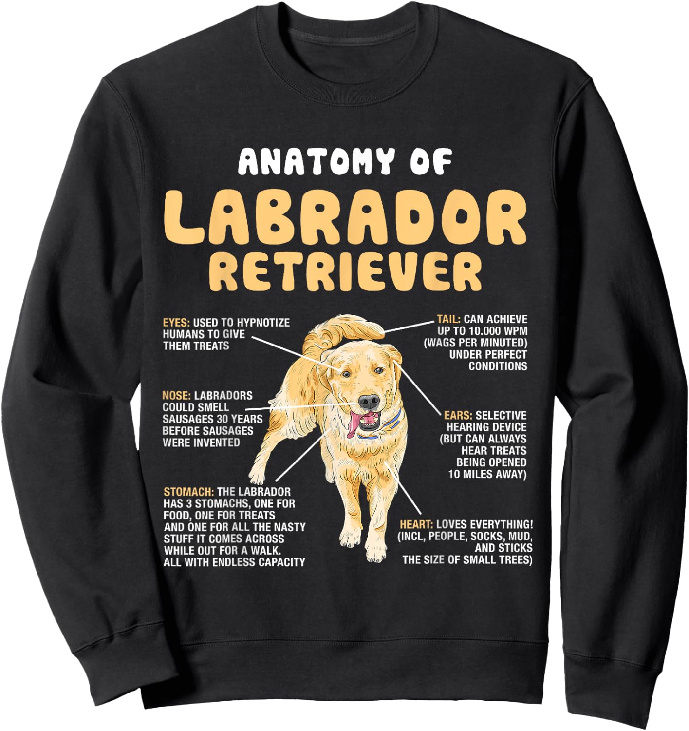 Anatomy Of Labrador Retriever Lovers Funny Lab Owners Sweatshirt - Sweatshirt | Black