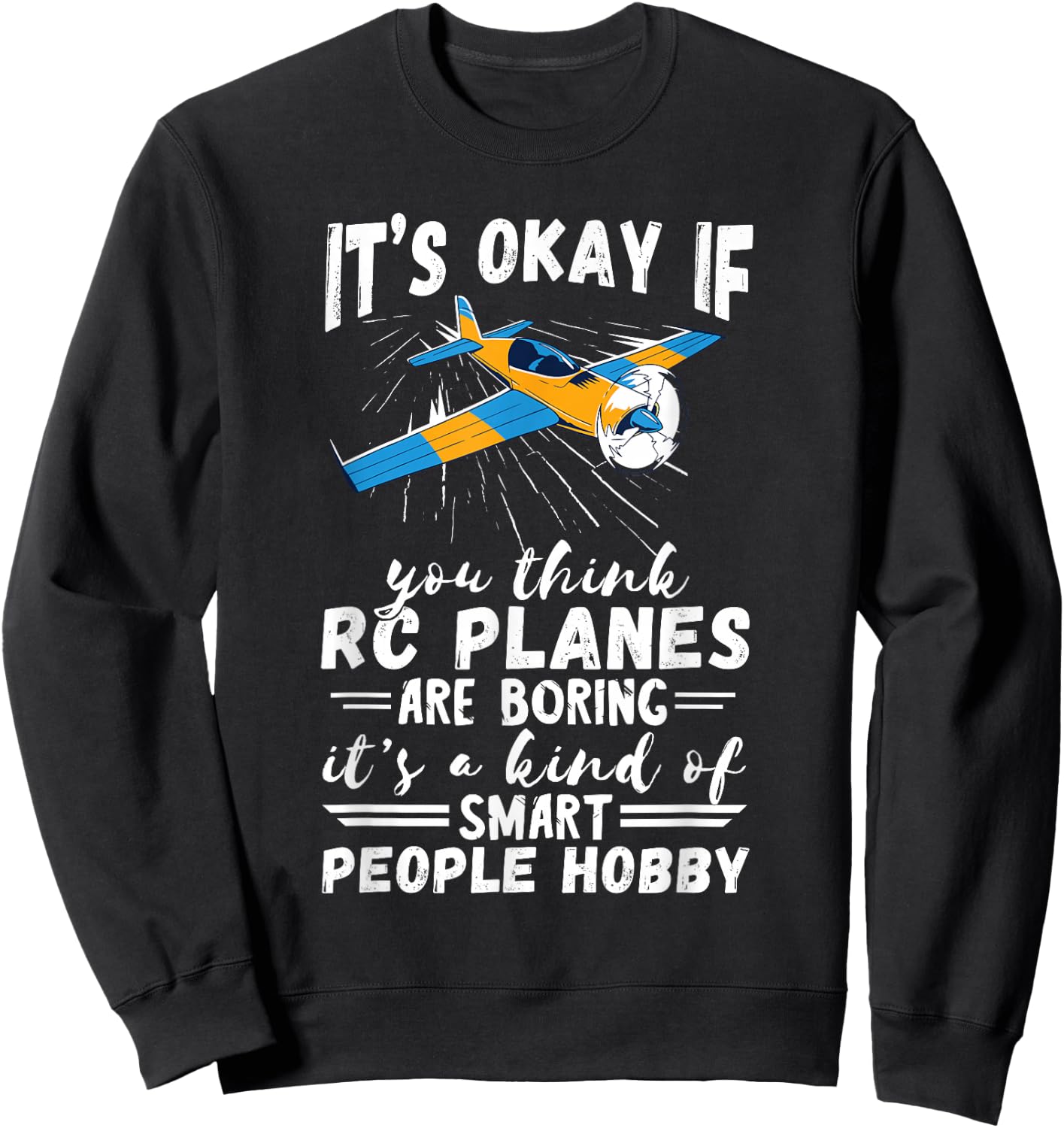 RC Plane Smart People Hobby Airplane Lover RC Pilot Model Sweatshirt - Sweatshirt | Black