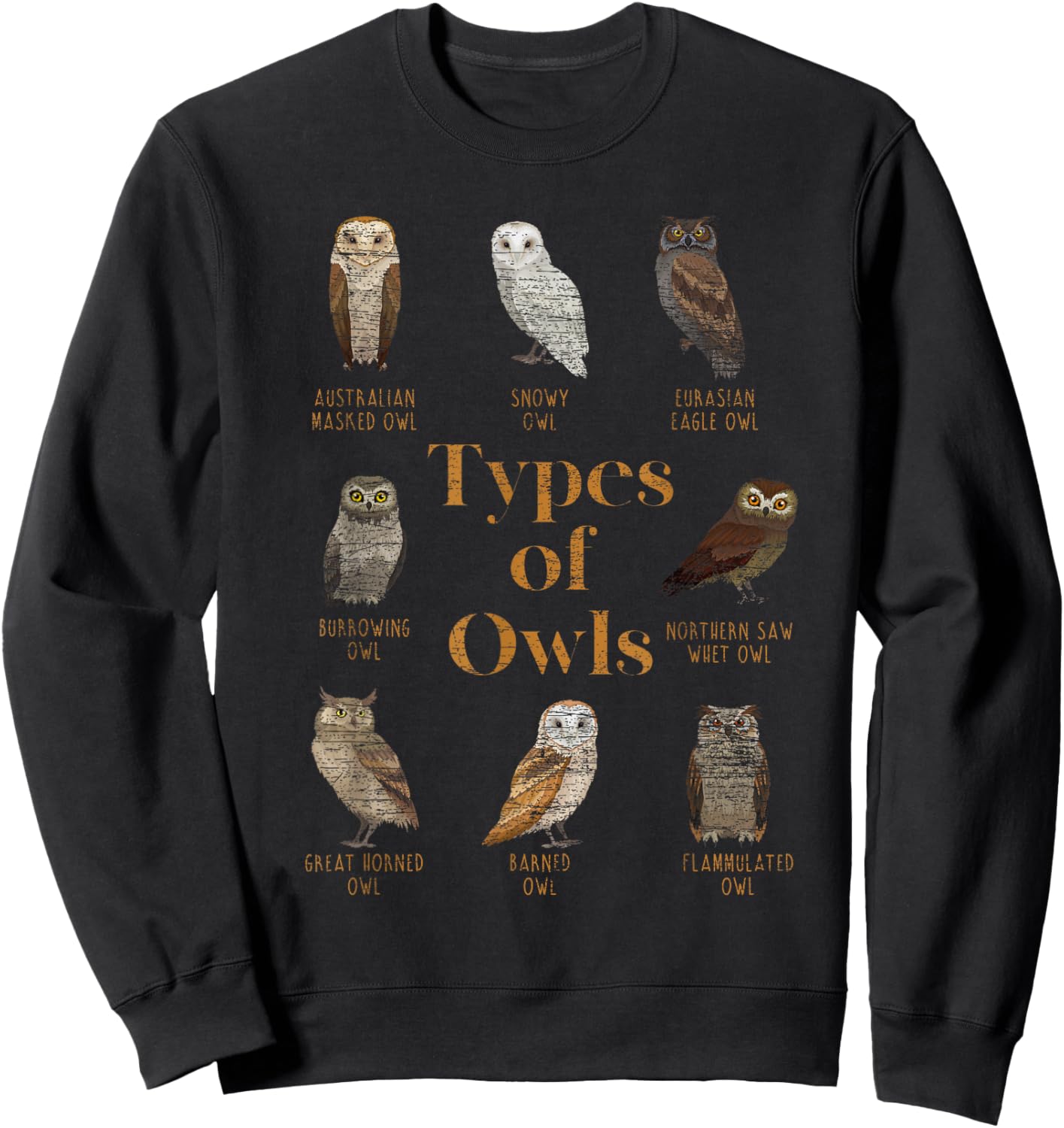Types Of Owls Ornithologist Gift Animal Wise Bird Lover Owl Sweatshirt - Sweatshirt | Black