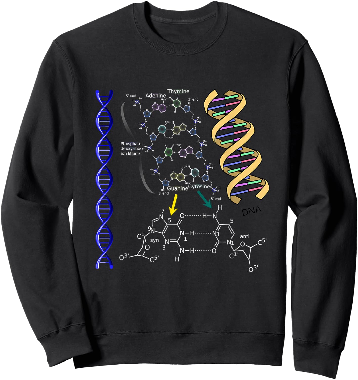 DNA Double Helix Chemical Formula Molecules Science Lovers Sweatshirt - Sweatshirt | Black