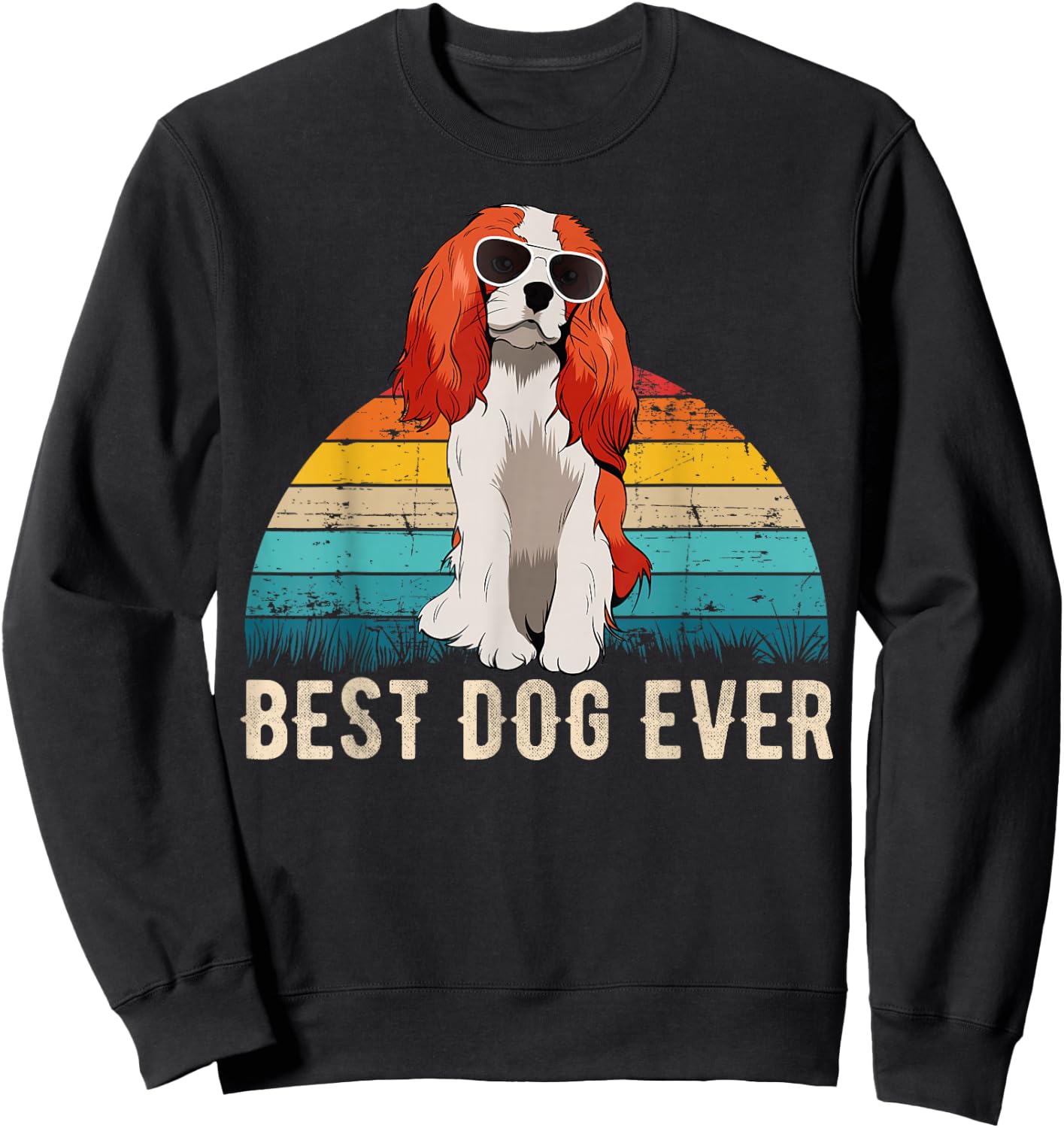 Cavalier King Charles Spaniel Dog Men Women Girls Kids Sweatshirt - Sweatshirt | Black