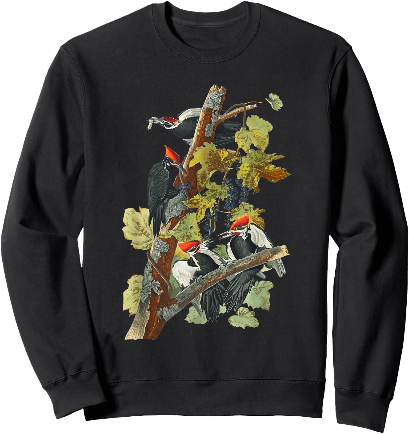 Vintage Pileated Woodpecker Birds Illustration Men & Women Sweatshirt - Sweatshirt | Black