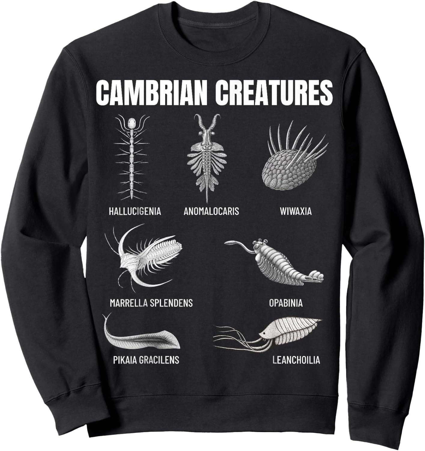 Cambrian Creatures Fossil Paleoart Evolution Science Lover Sweatshirt - Sweatshirt | Black
