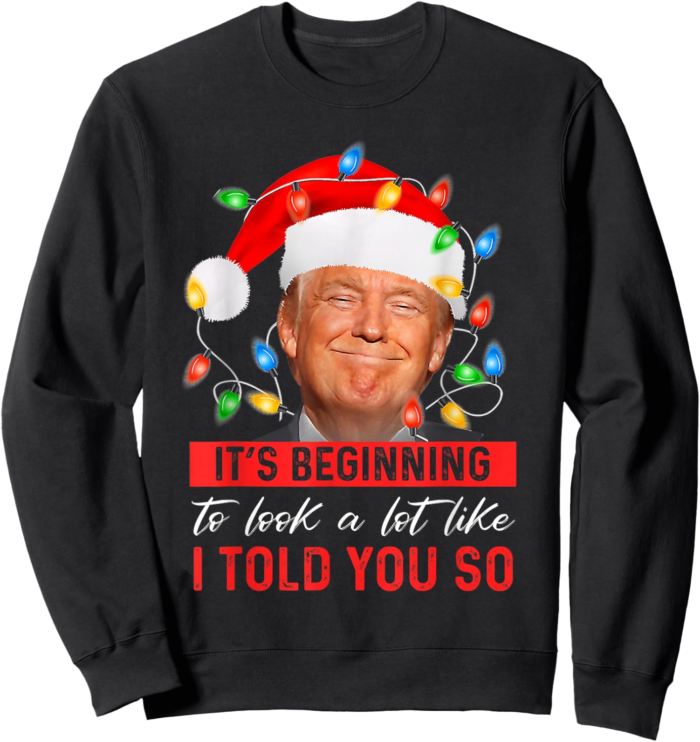 It's Beginning to Look A Lot Like I Told You So Trump Xmas Small Sweatshirt - Sweatshirt | Black