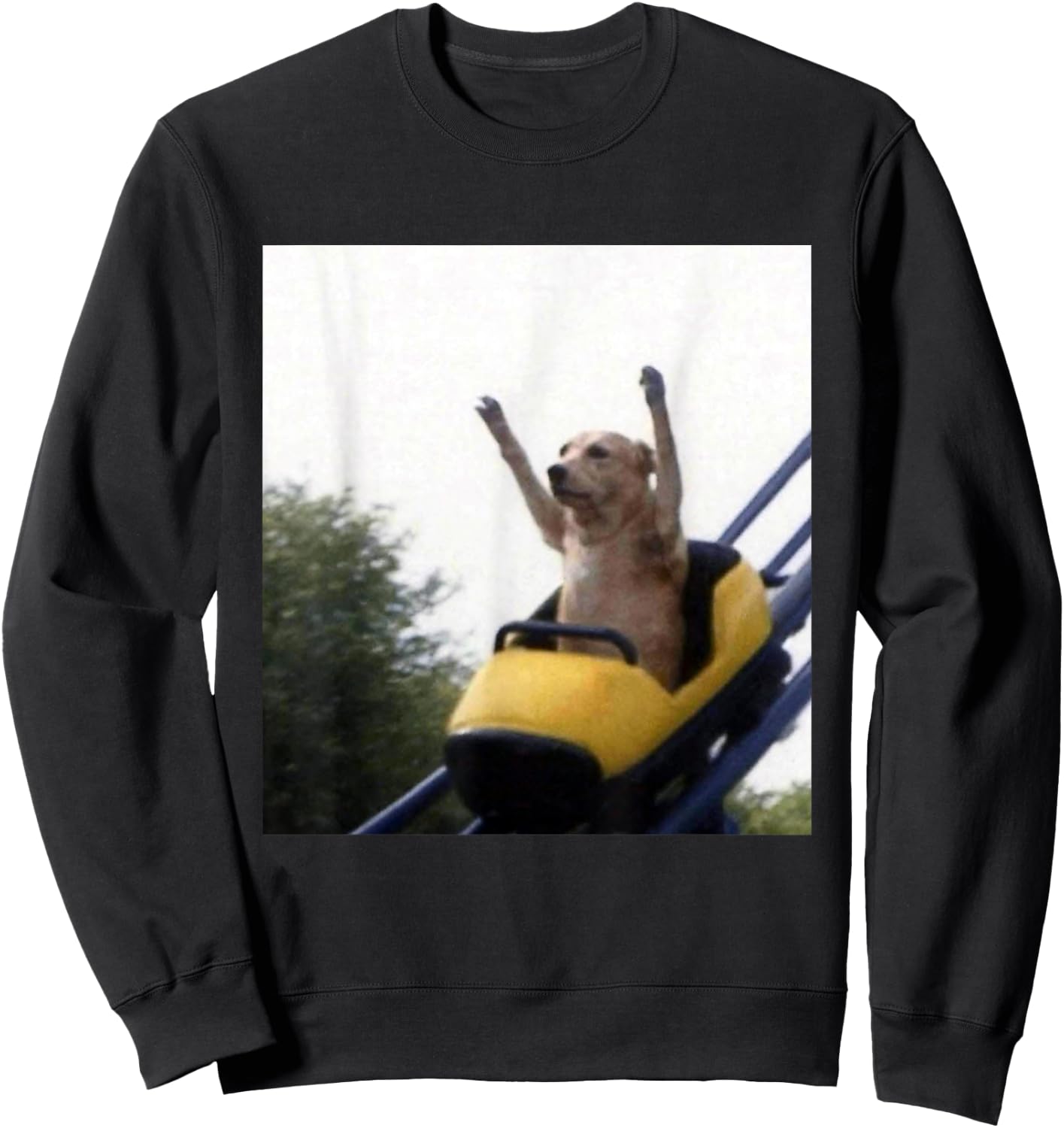 Labrador Dog Roller Coaster Funny Meme Sweatshirt - Sweatshirt | Black