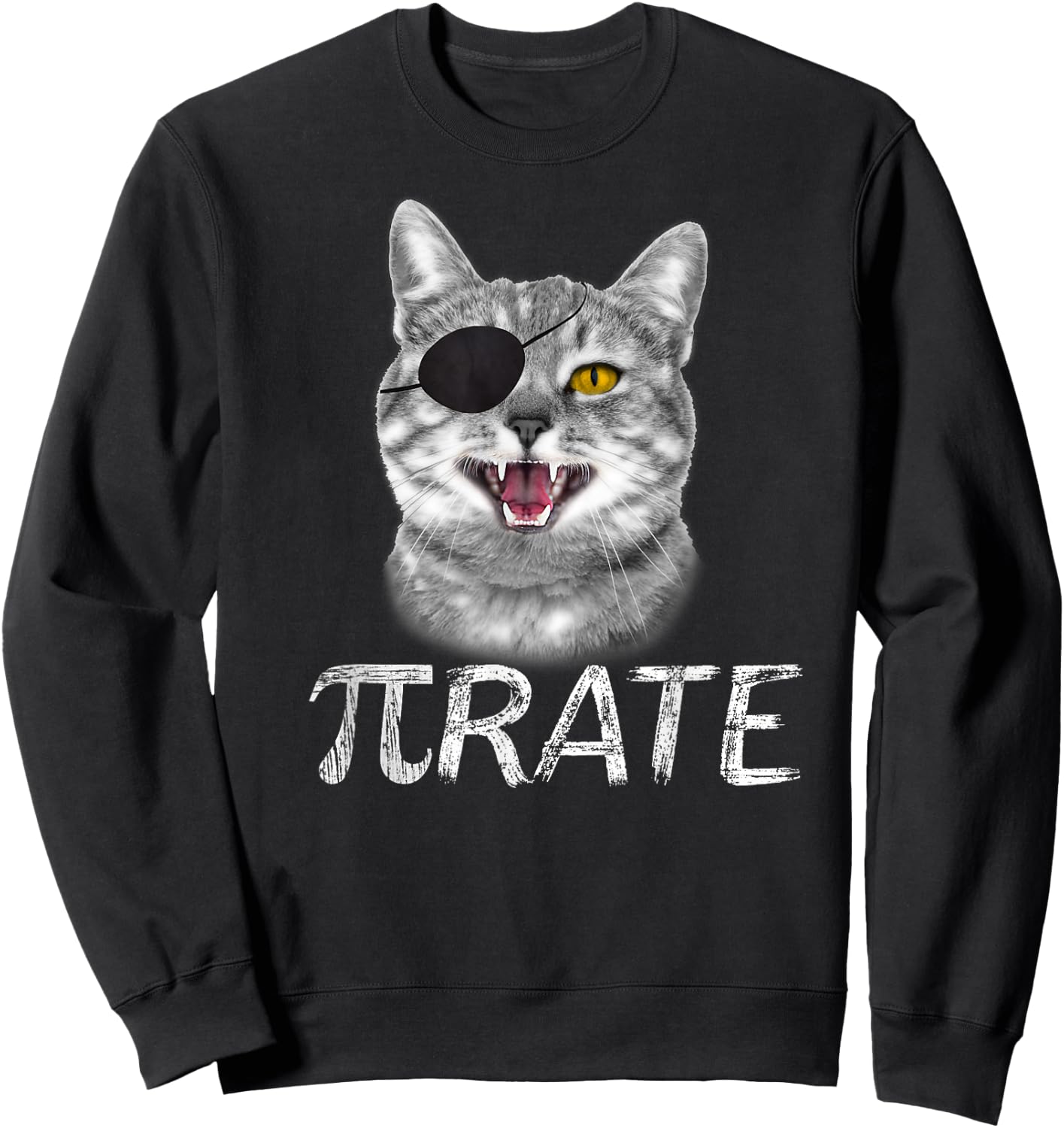 Funny Pi Day Math Science Cat Pirate Sweatshirt - Sweatshirt | Black