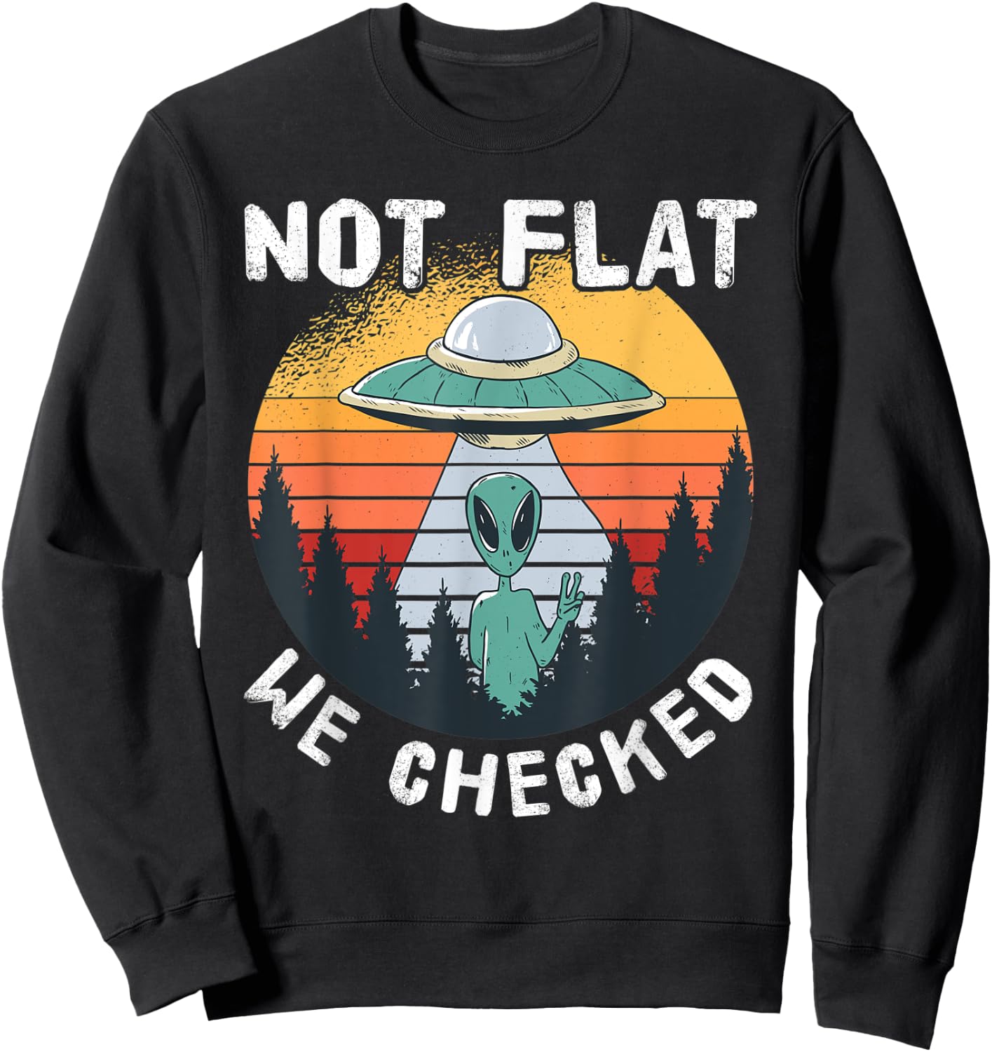 Alien UFO Not Flat We Checked Sweatshirt - Sweatshirt | Black