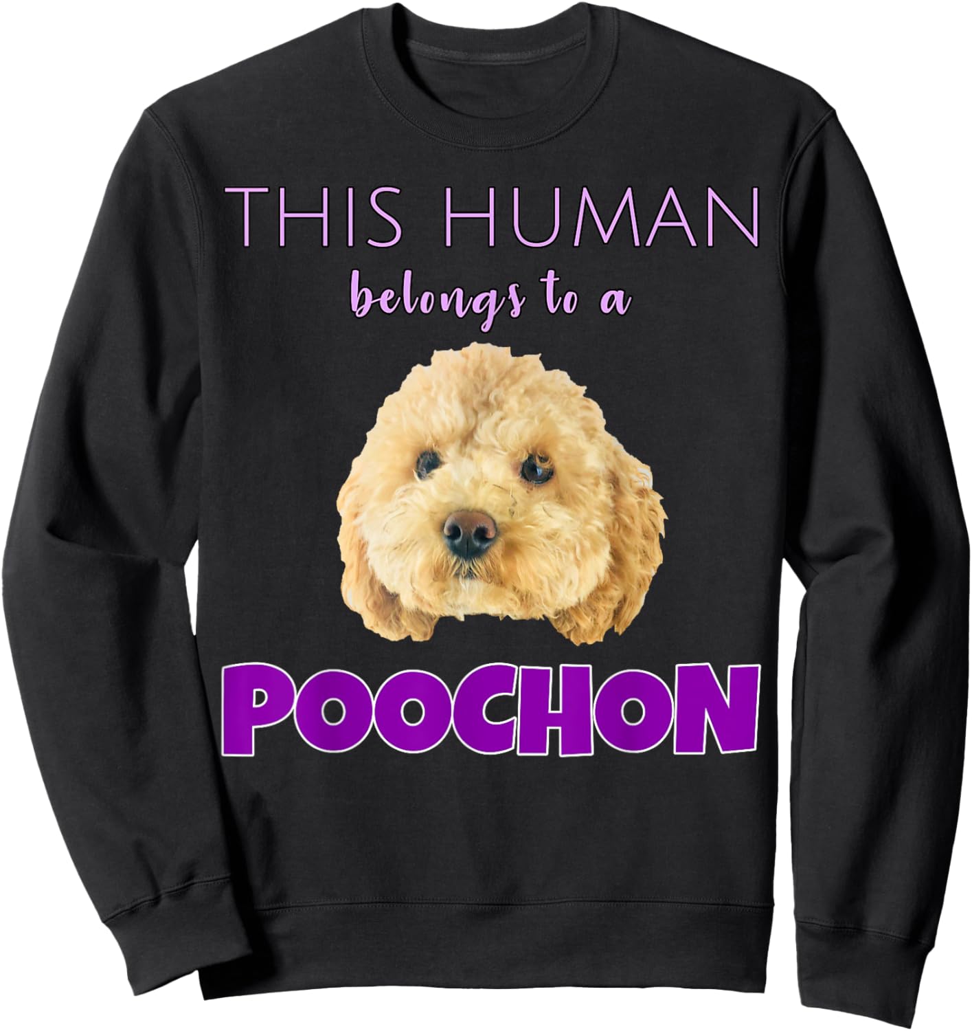 This Human belongs to a Poochon puppy dog owner gift Sweatshirt - Sweatshirt | Black