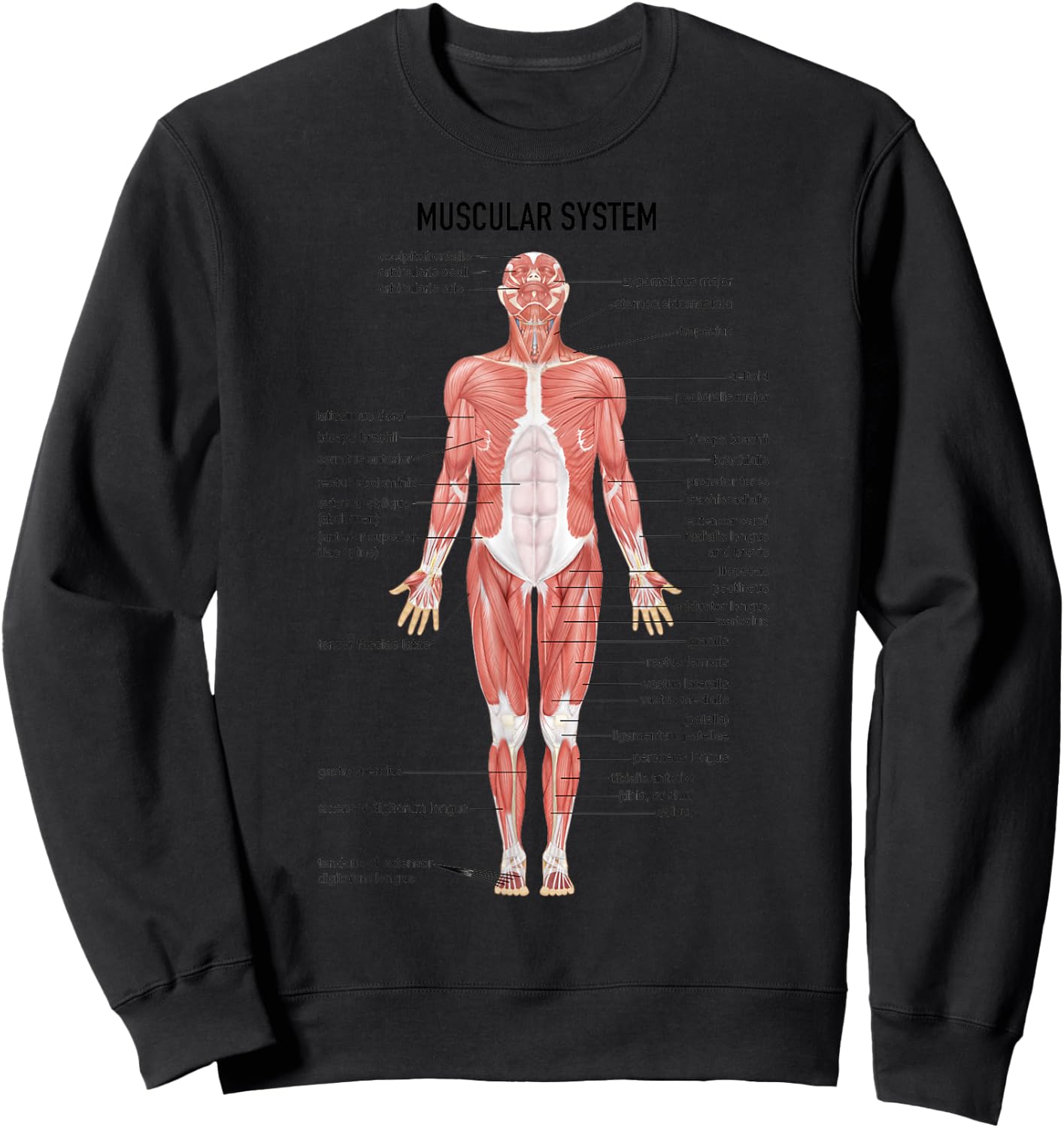 Muscular System Nurse Doctor Funny Med Medical Jokes Humor Sweatshirt - Sweatshirt | Black