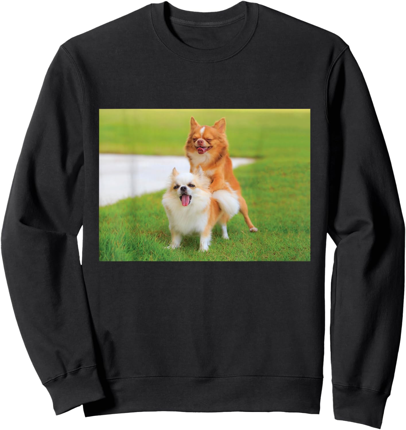 Fun Two Dogs Humping Chihuahua Pet Owner Humor Dog Lover Sweatshirt - Sweatshirt | Black