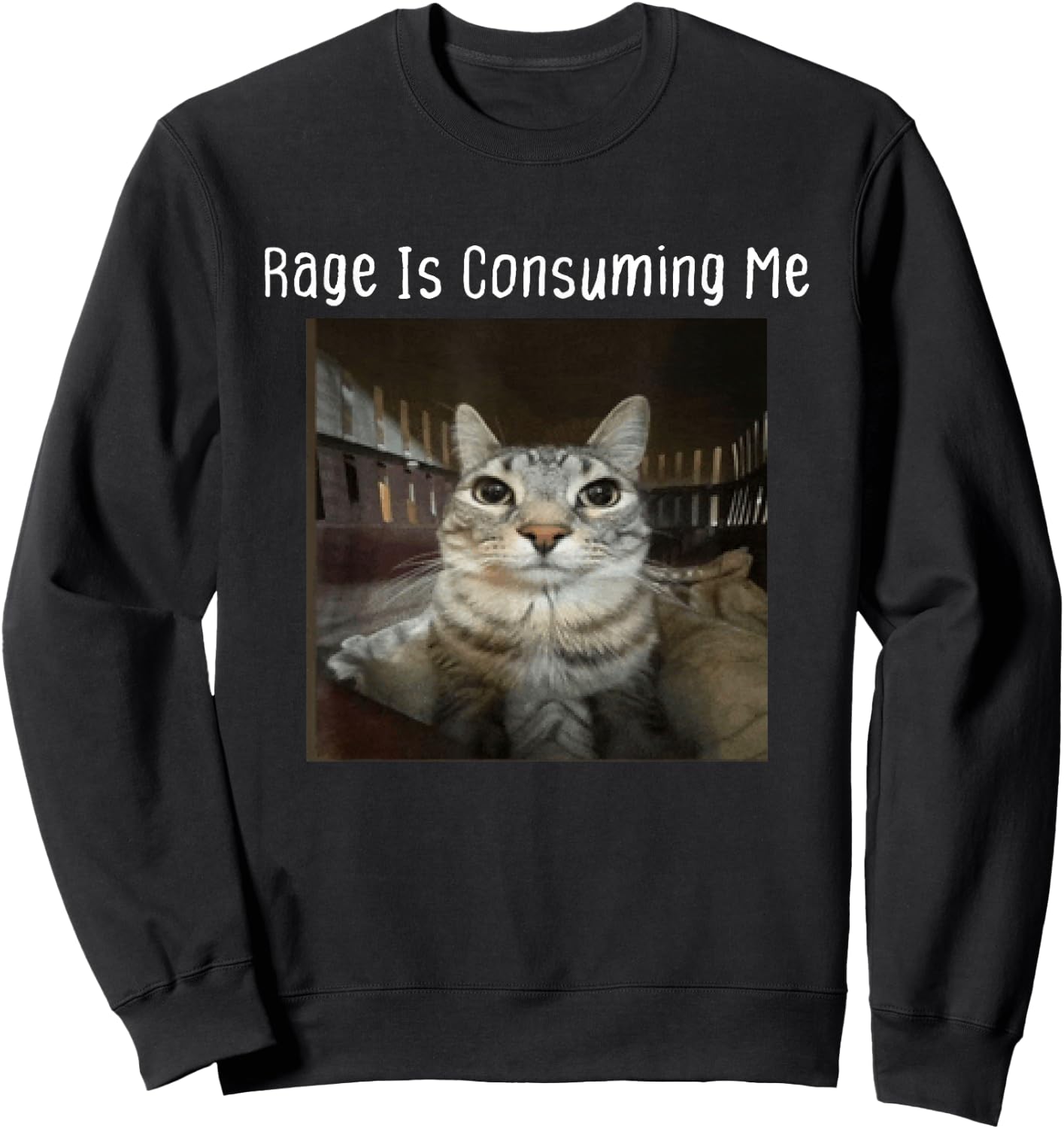 Rage Is Consuming Me Silly Staring Cat Meme Sweatshirt - Sweatshirt | Black