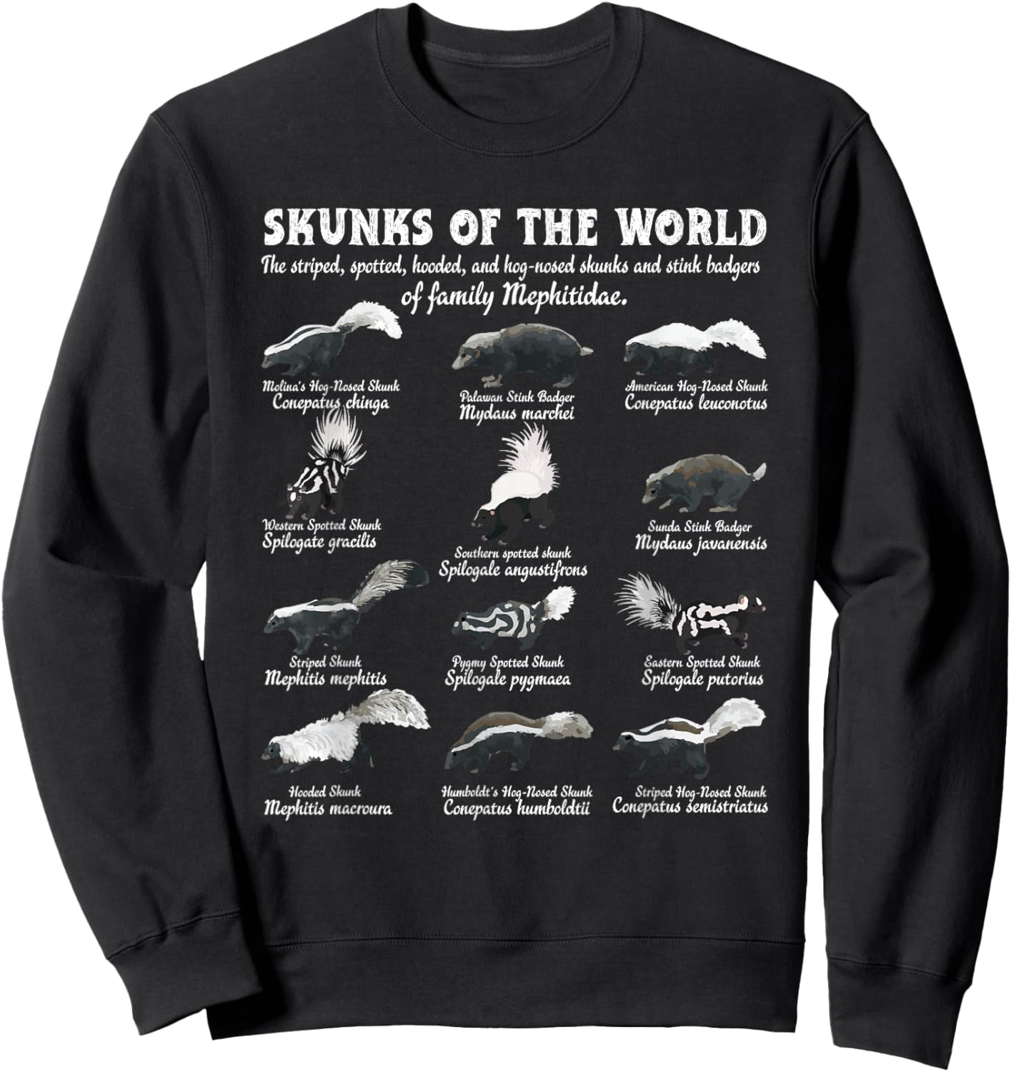 Skunk Tail Skunks Of The World Mephitidae Skunk Whisperer Sweatshirt - Sweatshirt | Black
