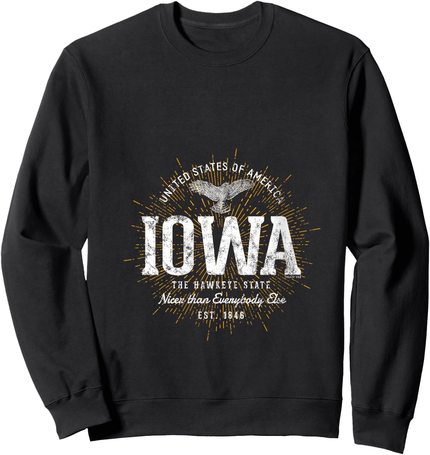 Vintage State of Iowa Retro V-Neck Sweatshirt - Sweatshirt | Black