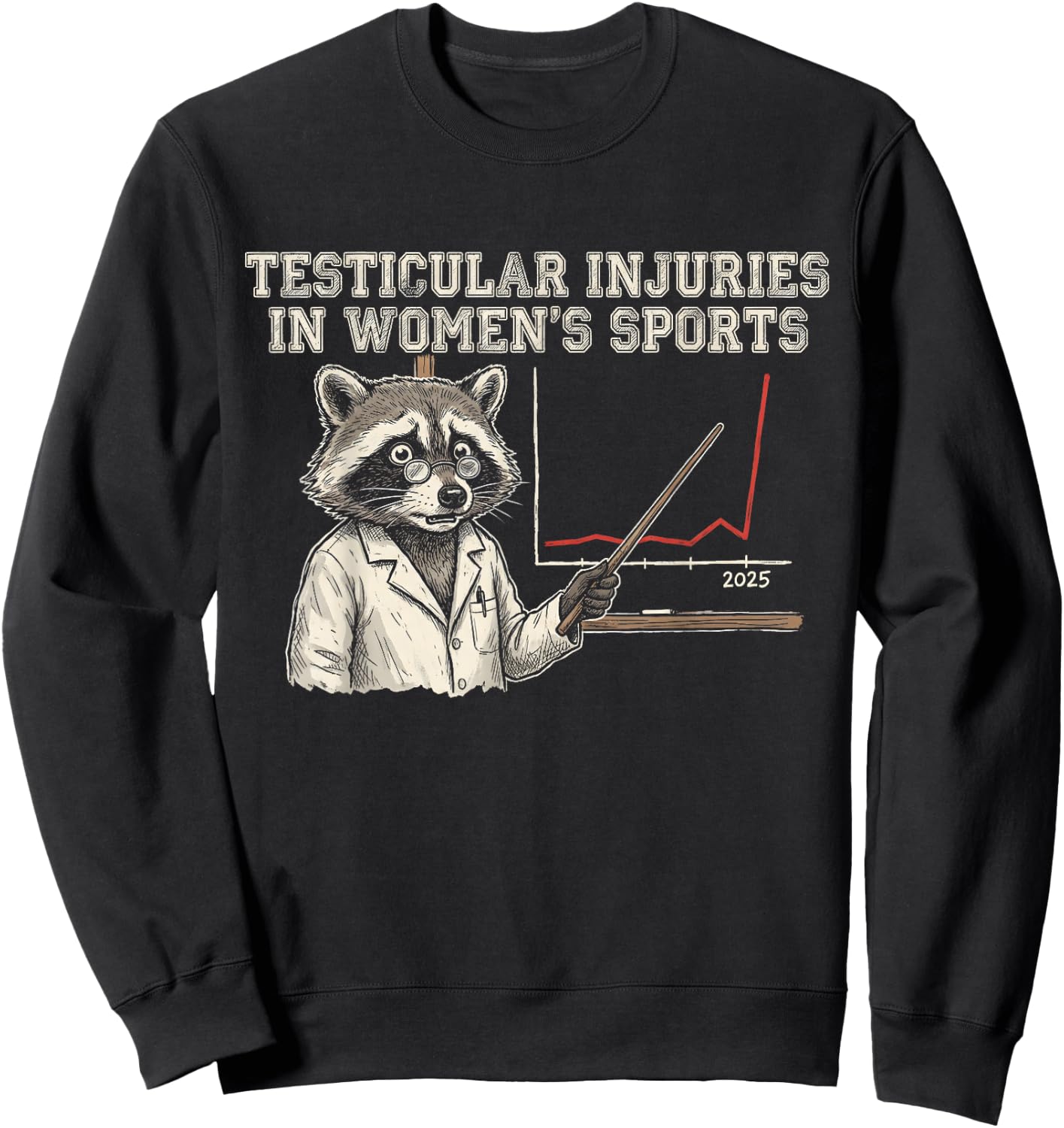 Testicular Injuries in Sports Raccoon Sweatshirt - Sweatshirt | Black