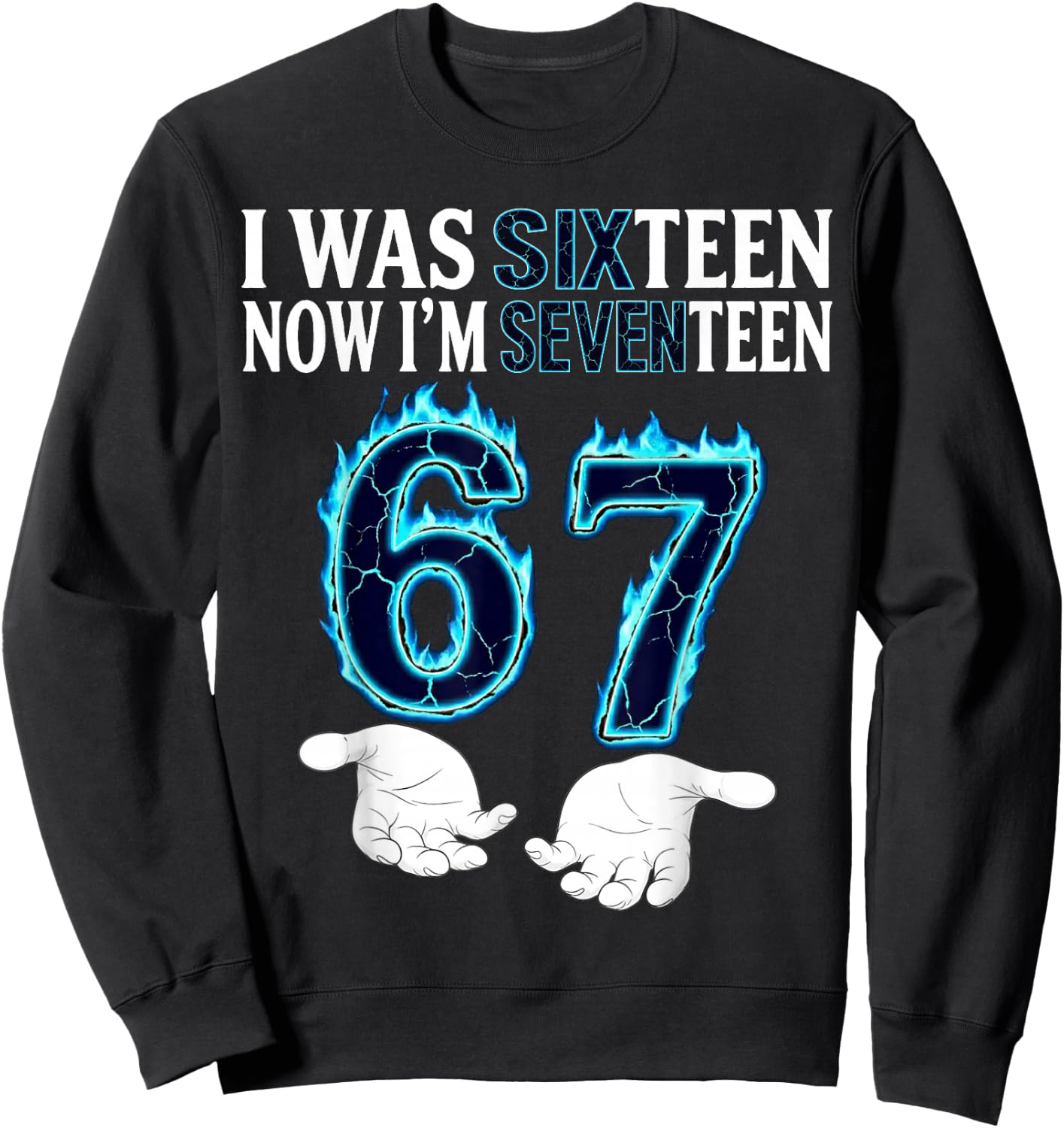 I was 16 Now I’m 17 Year Old Funny Meme Retro Seventeen Sweatshirt - Sweatshirt | Black