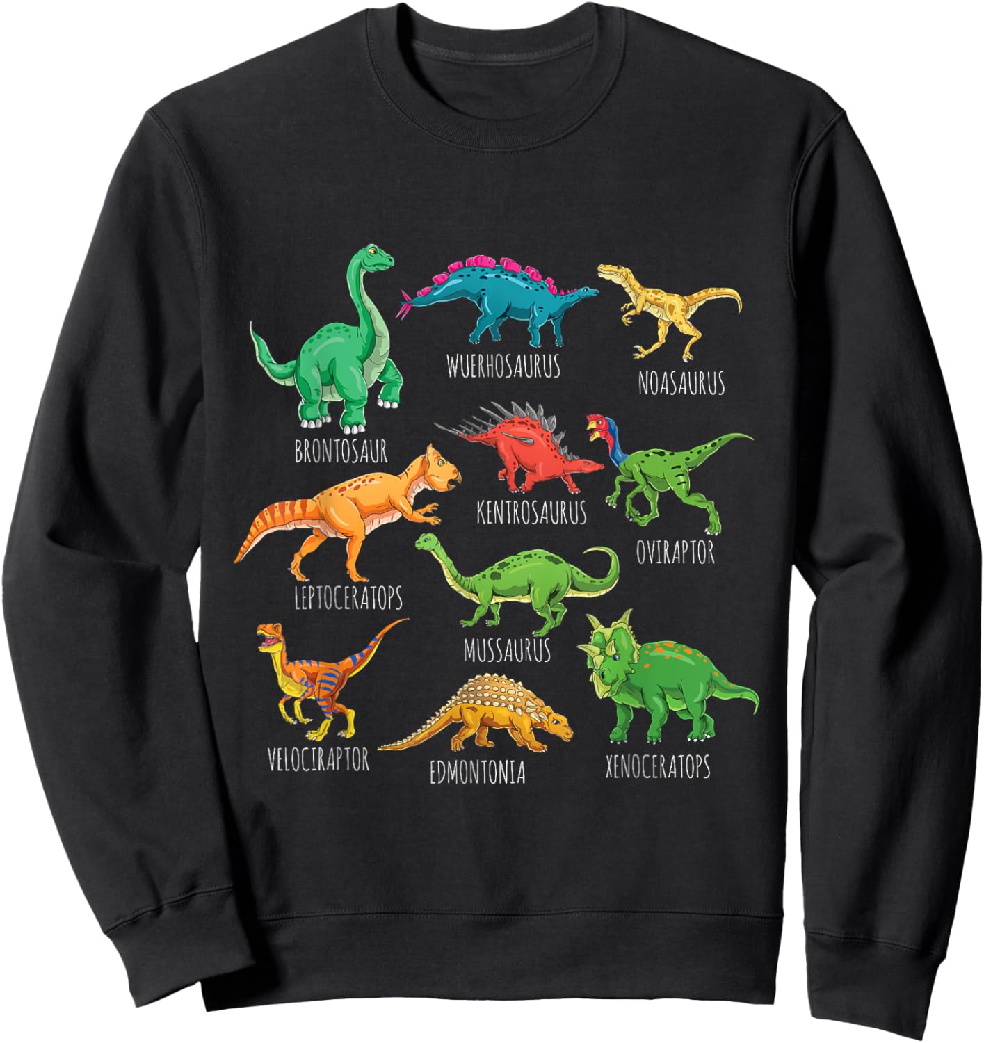 Types Of Dinosaurs Graphics Dino Identification Sweatshirt - Sweatshirt | Black