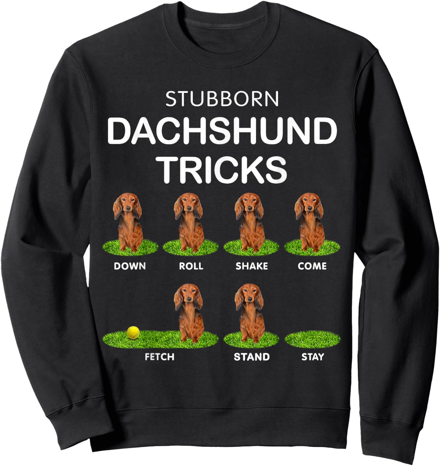 Thick Headed Dog - Funny Long Hair Dachshund for Christmas Sweatshirt - Sweatshirt | Black