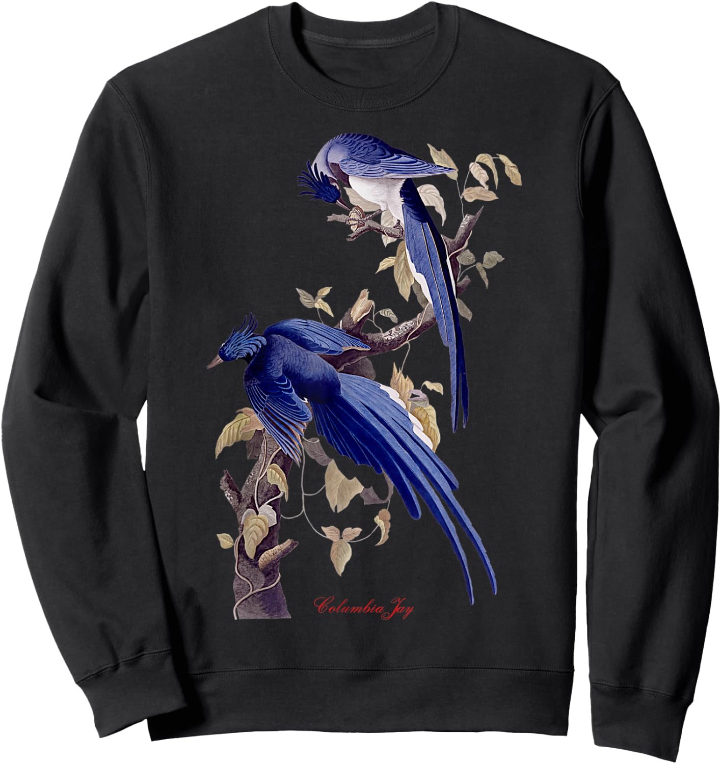 Audubon Columbia Jay North American Birds Education Nature Sweatshirt - Sweatshirt | Black