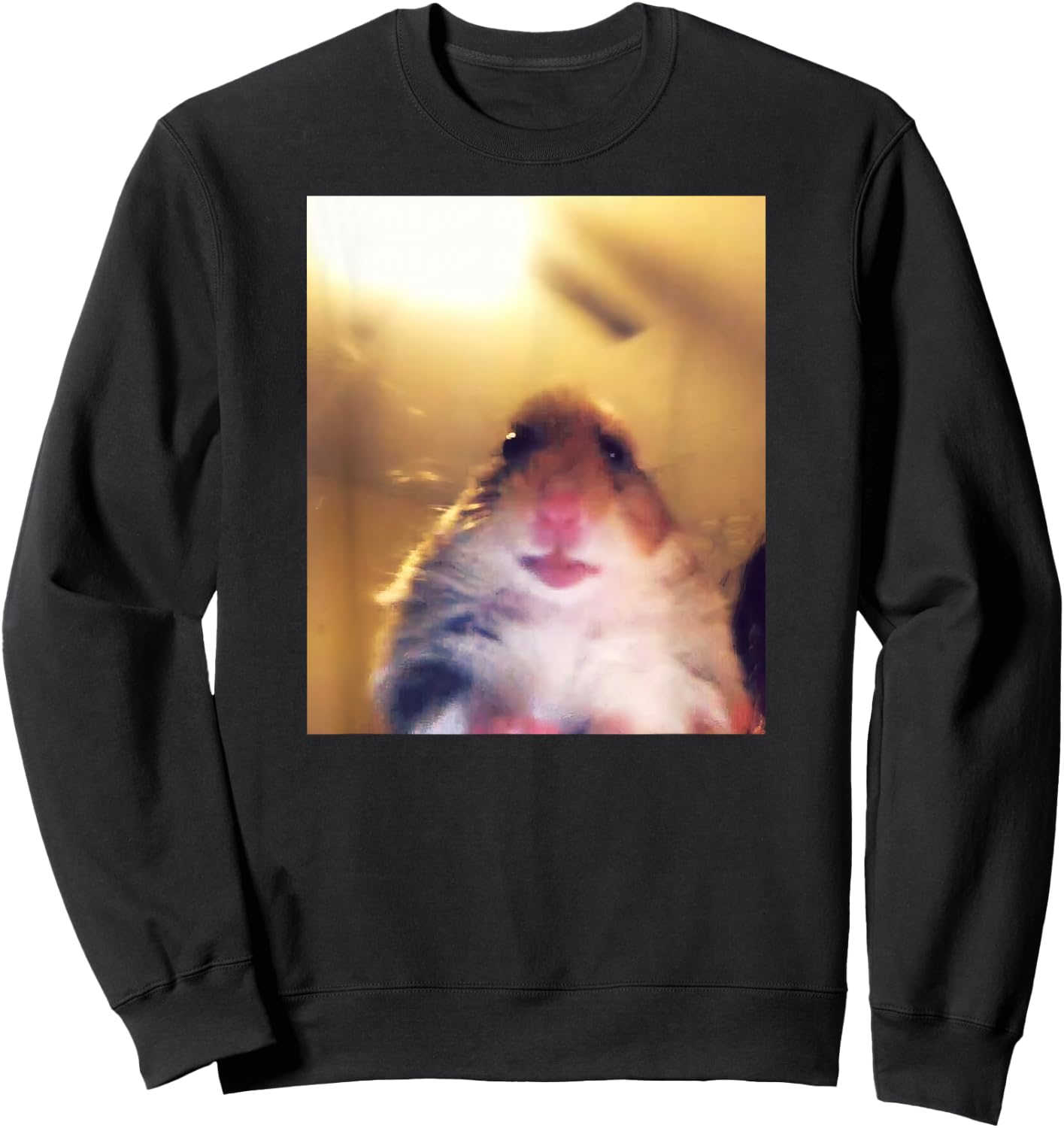 Staring Hamster Meme Front Camera Sweatshirt - Sweatshirt | Black