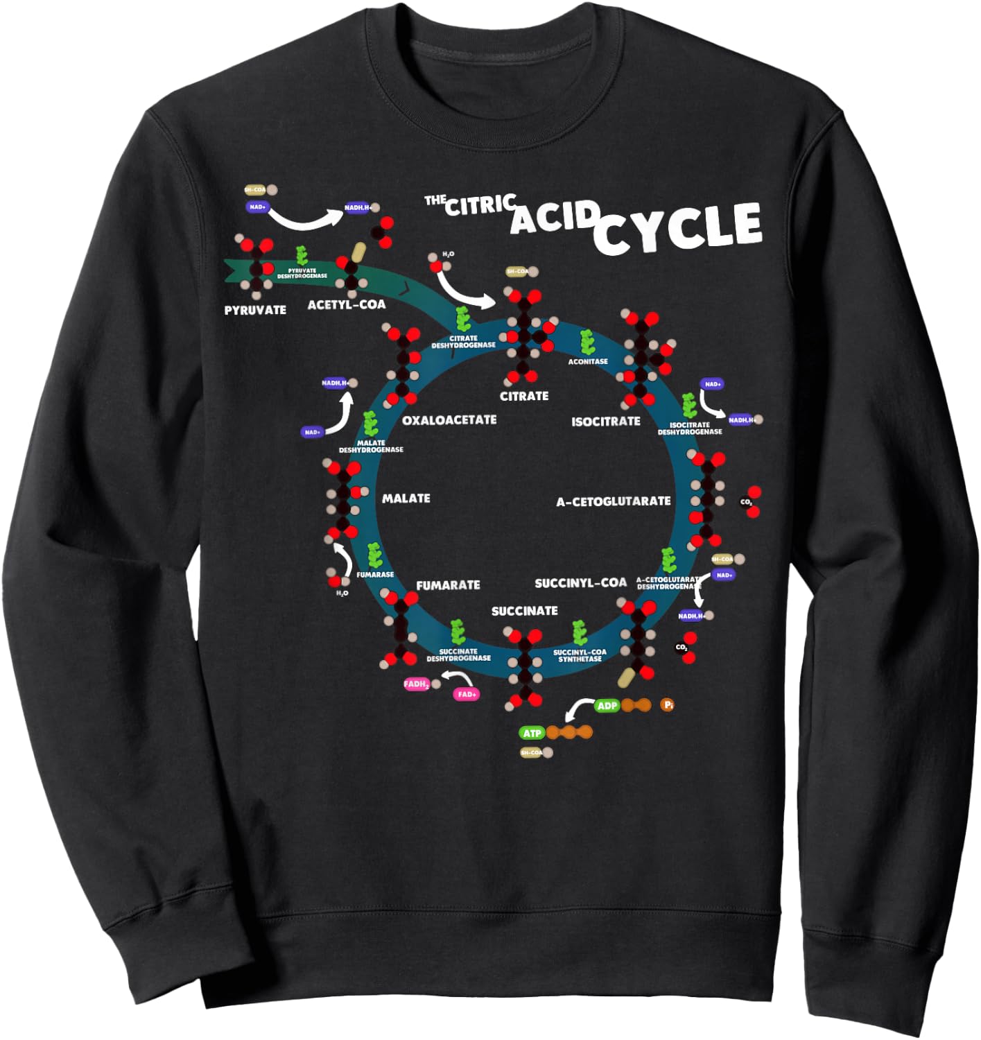 The citric acid cycle Sweatshirt - Sweatshirt | Black