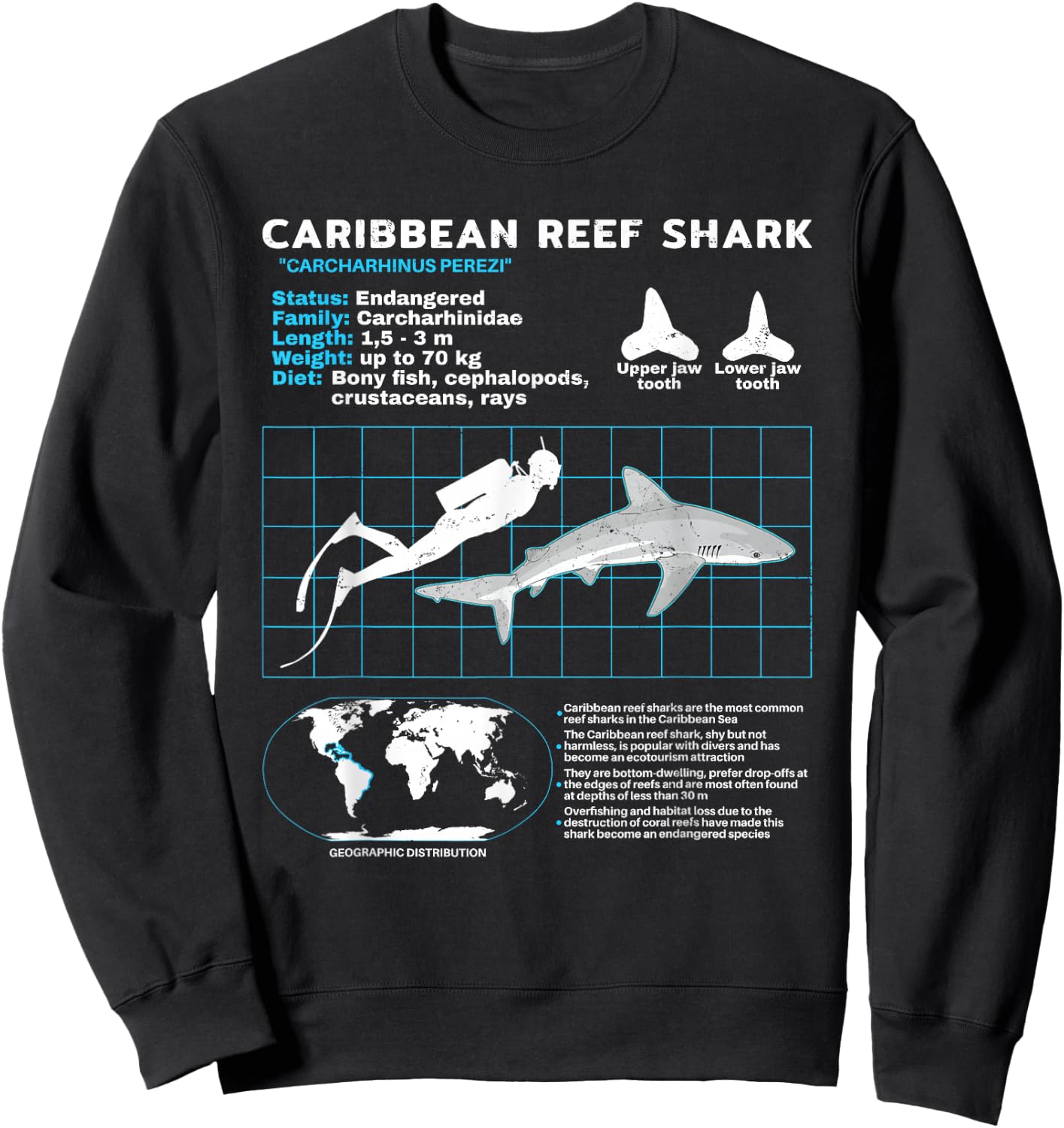 Caribbean Reef Shark Fact Sheet Sweatshirt - Sweatshirt | Black