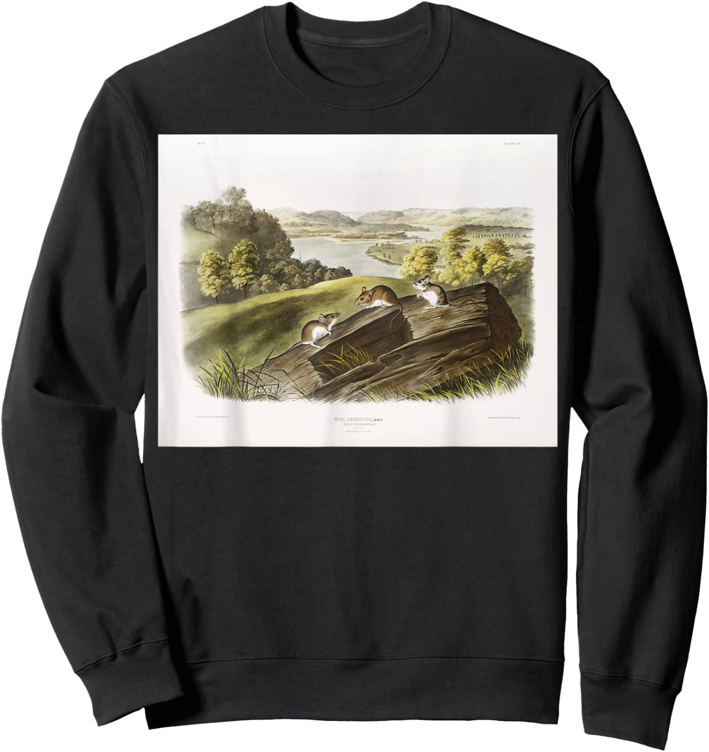 White-footed Mouse Animal Illustration & Women Sweatshirt - Sweatshirt | Black